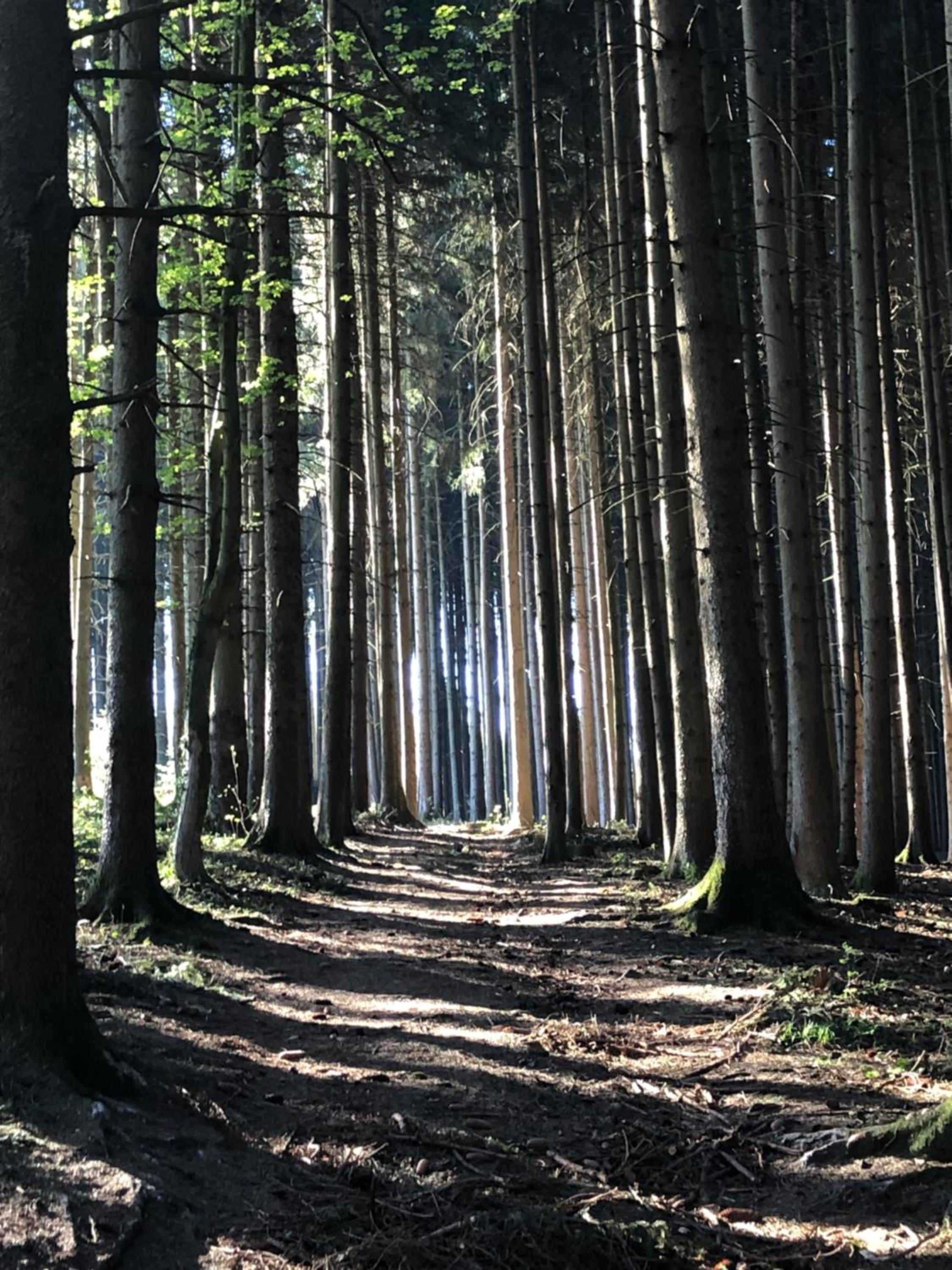 Wanderlust Chiemgau