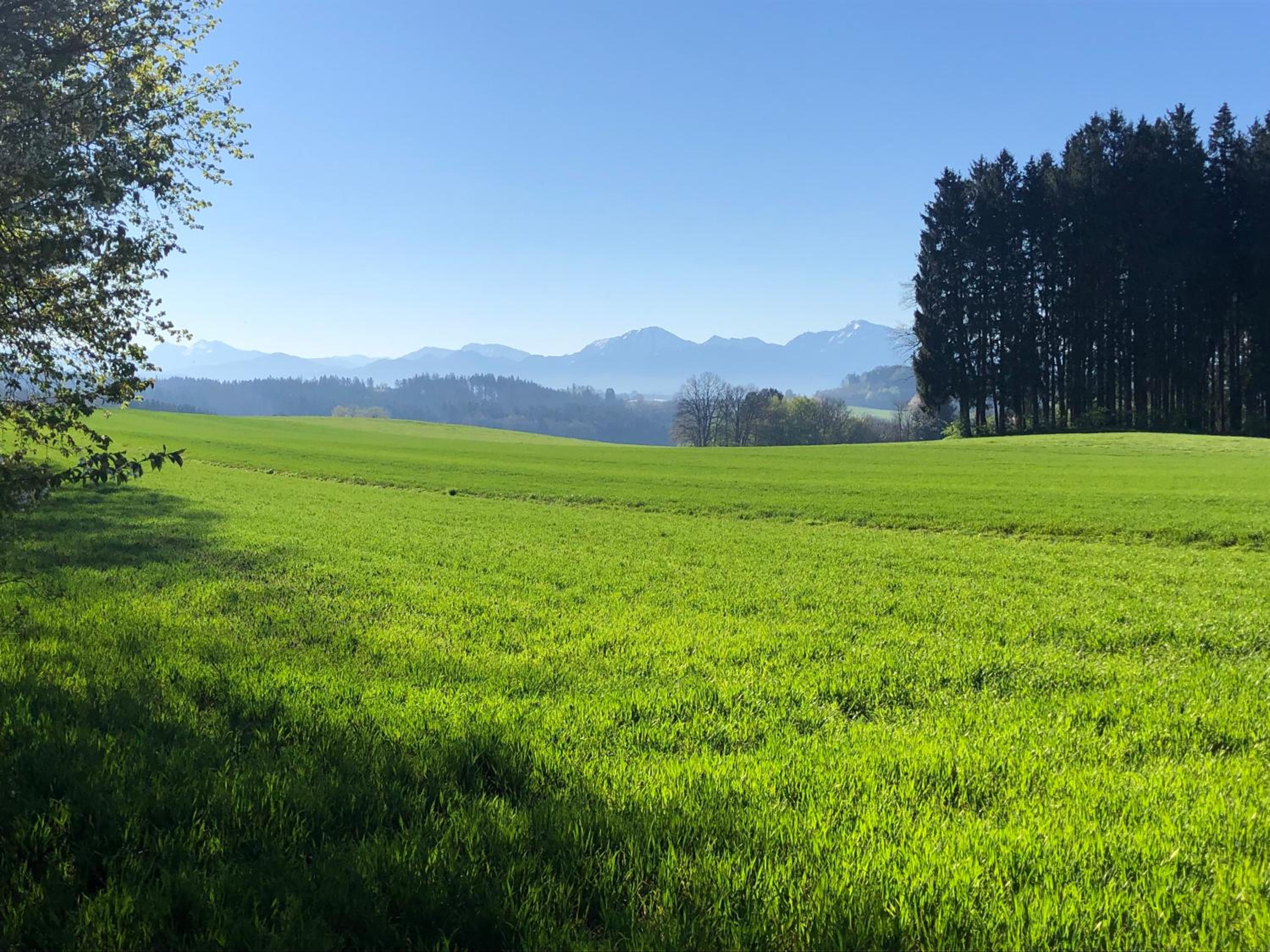 Wanderlust Chiemgau