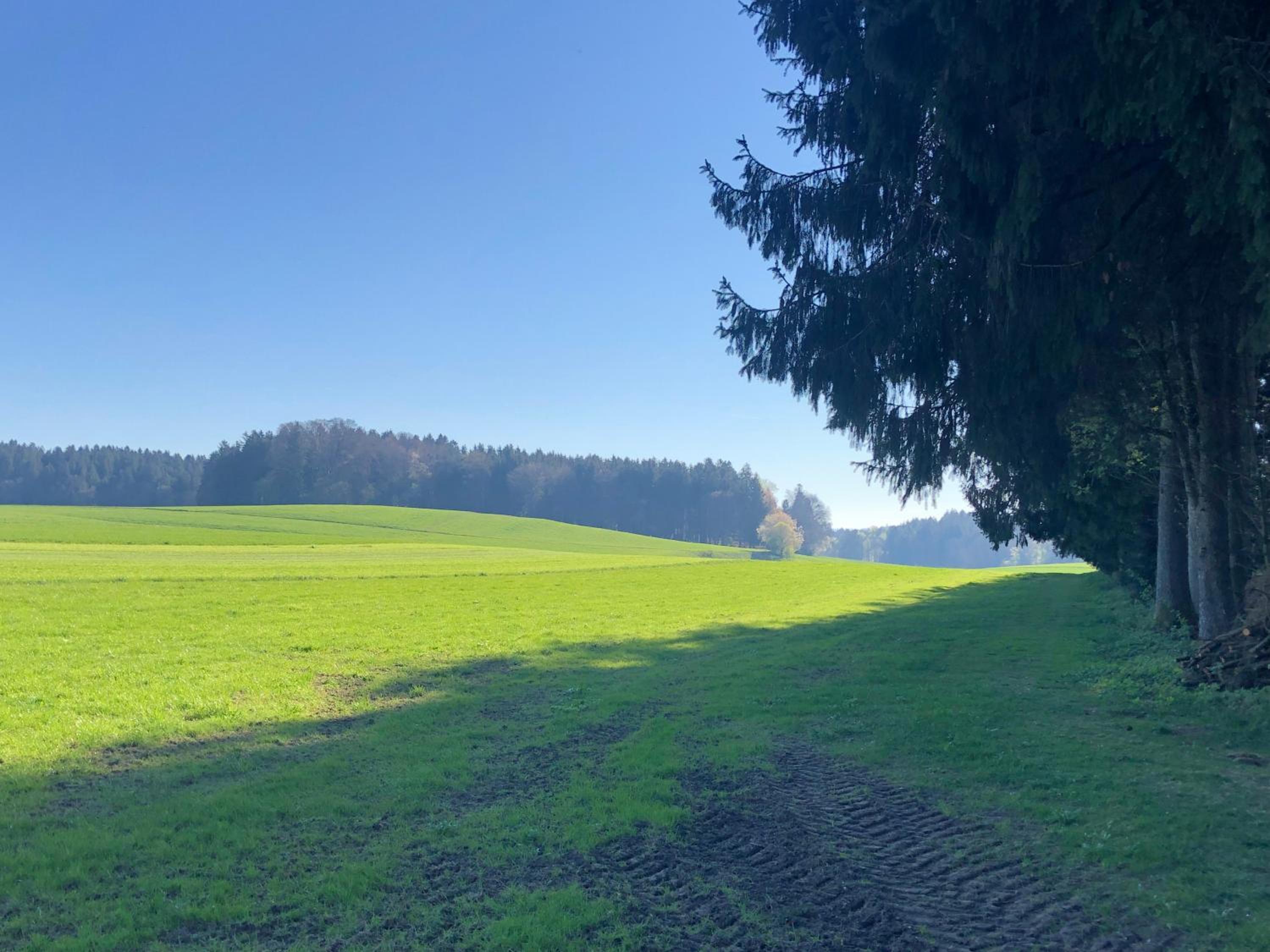 Wanderlust Chiemgau