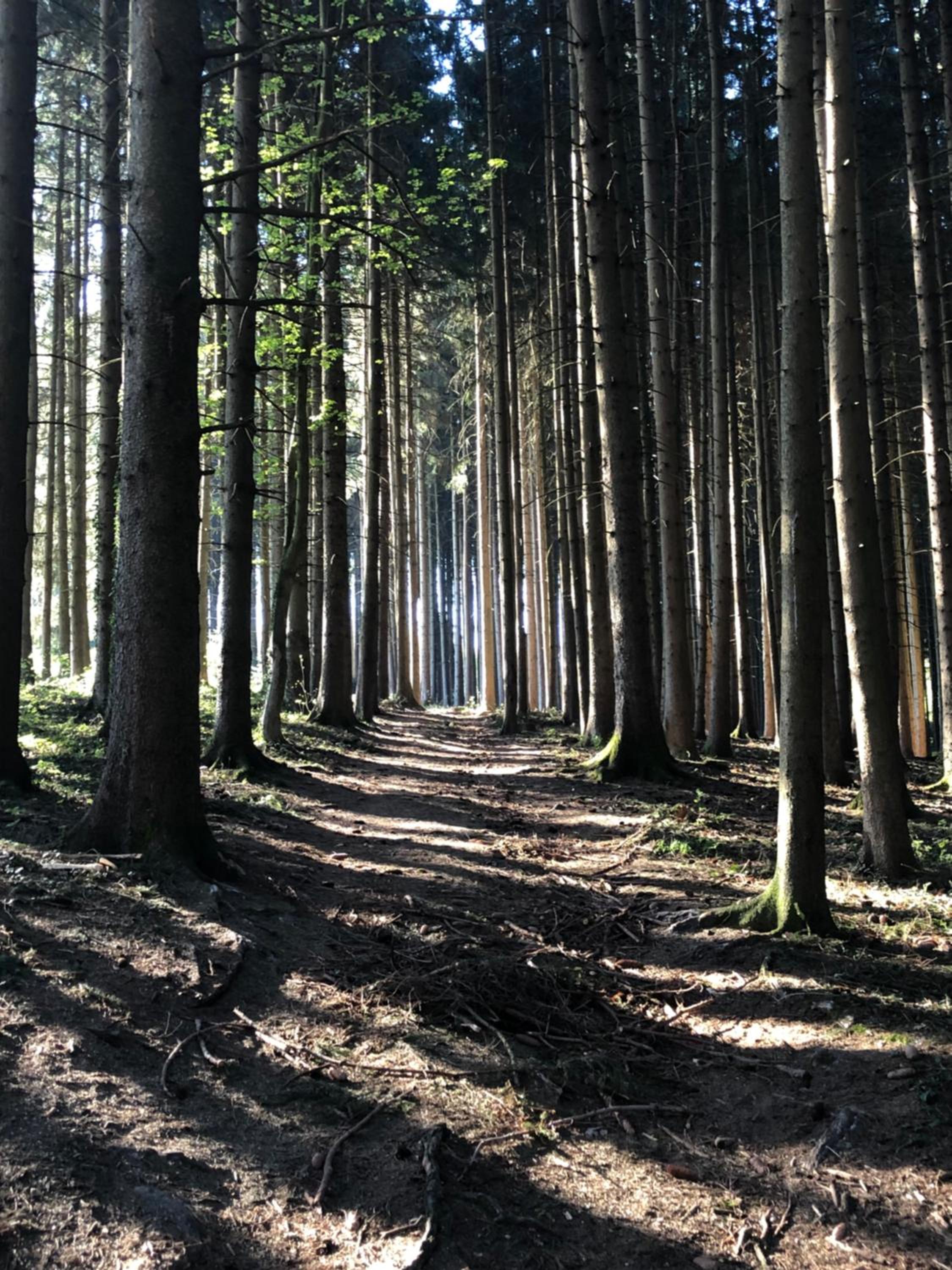 Wanderlust Chiemgau