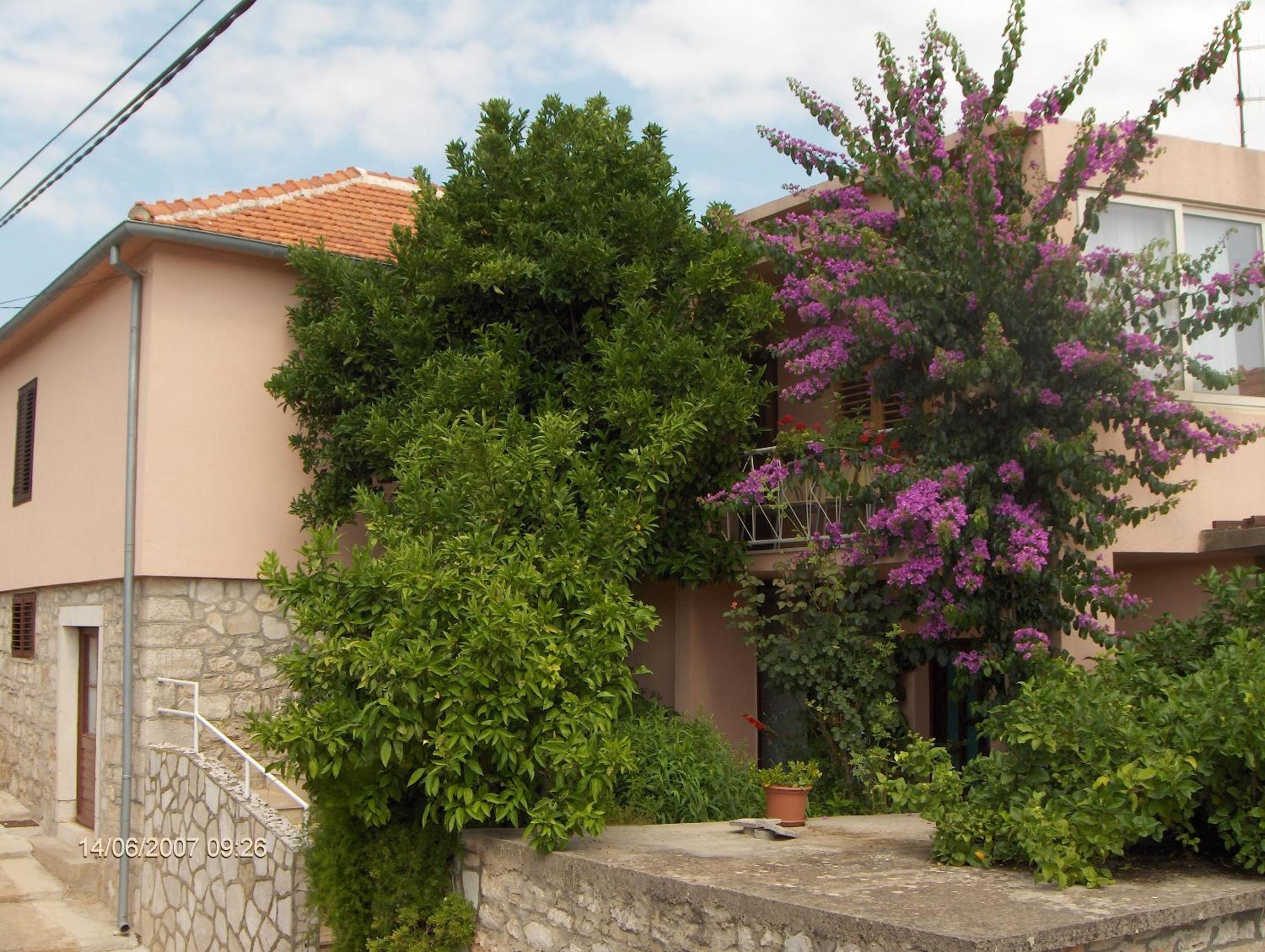 Guest House Roza