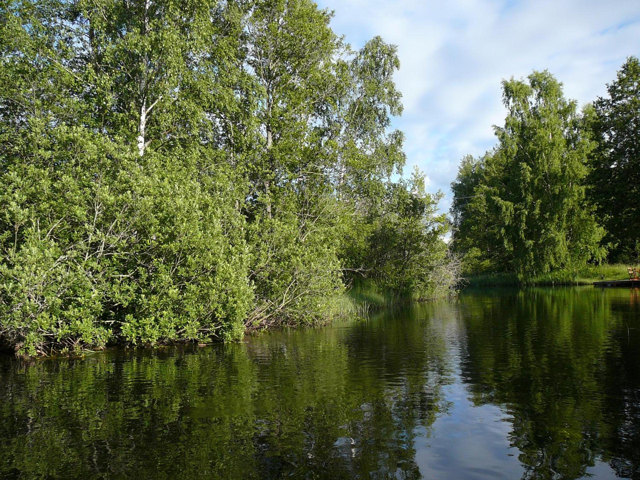 Photo 40