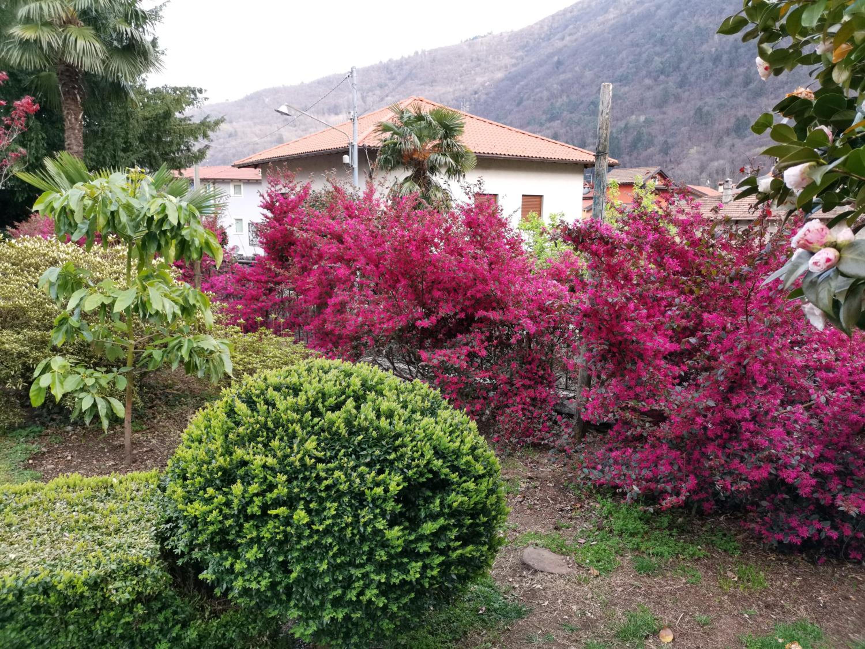 B&B Villa Dei Pini