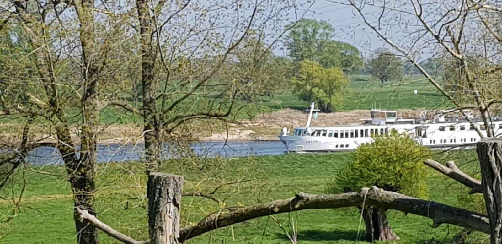 An den Elbwiesen GZ FeWo Elbeblick Nur Nichtraucher view 2