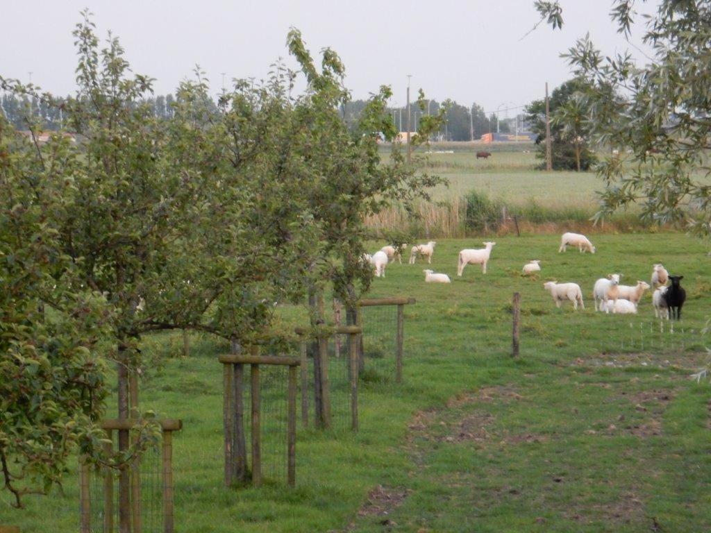 Het Riethuis view 2