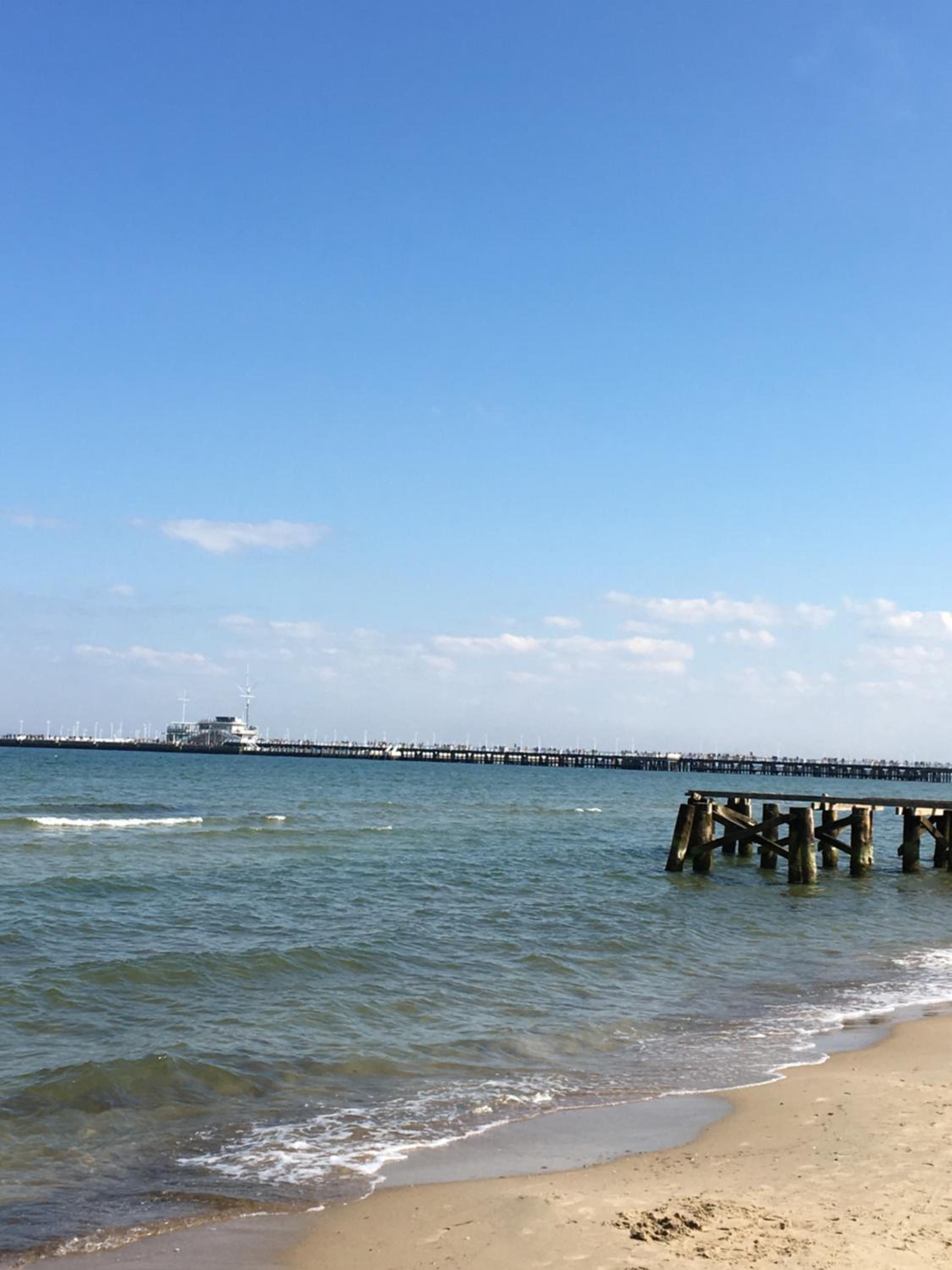 Ekskluzywny apartament z widokiem na morze, 5km do centrum Sopotu 4km do Orłowa view 5