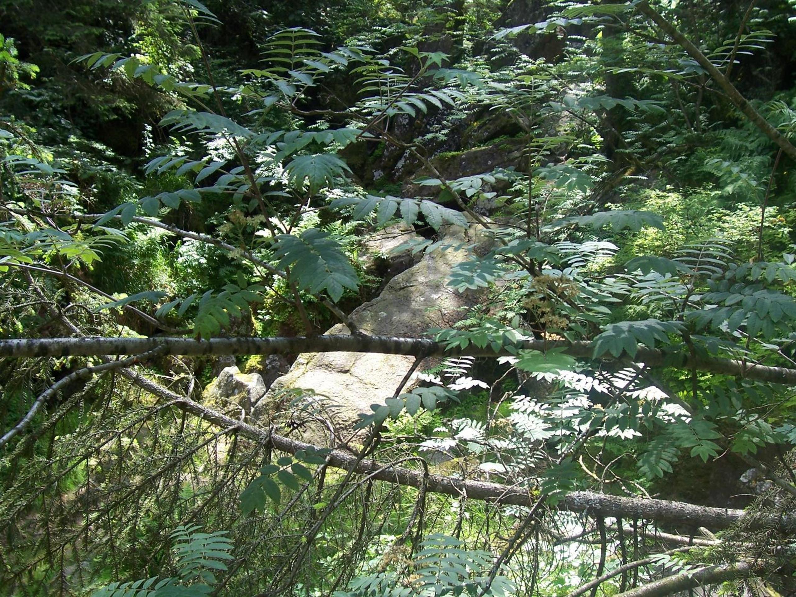 Kerschbamerhof im Süden Südtirols