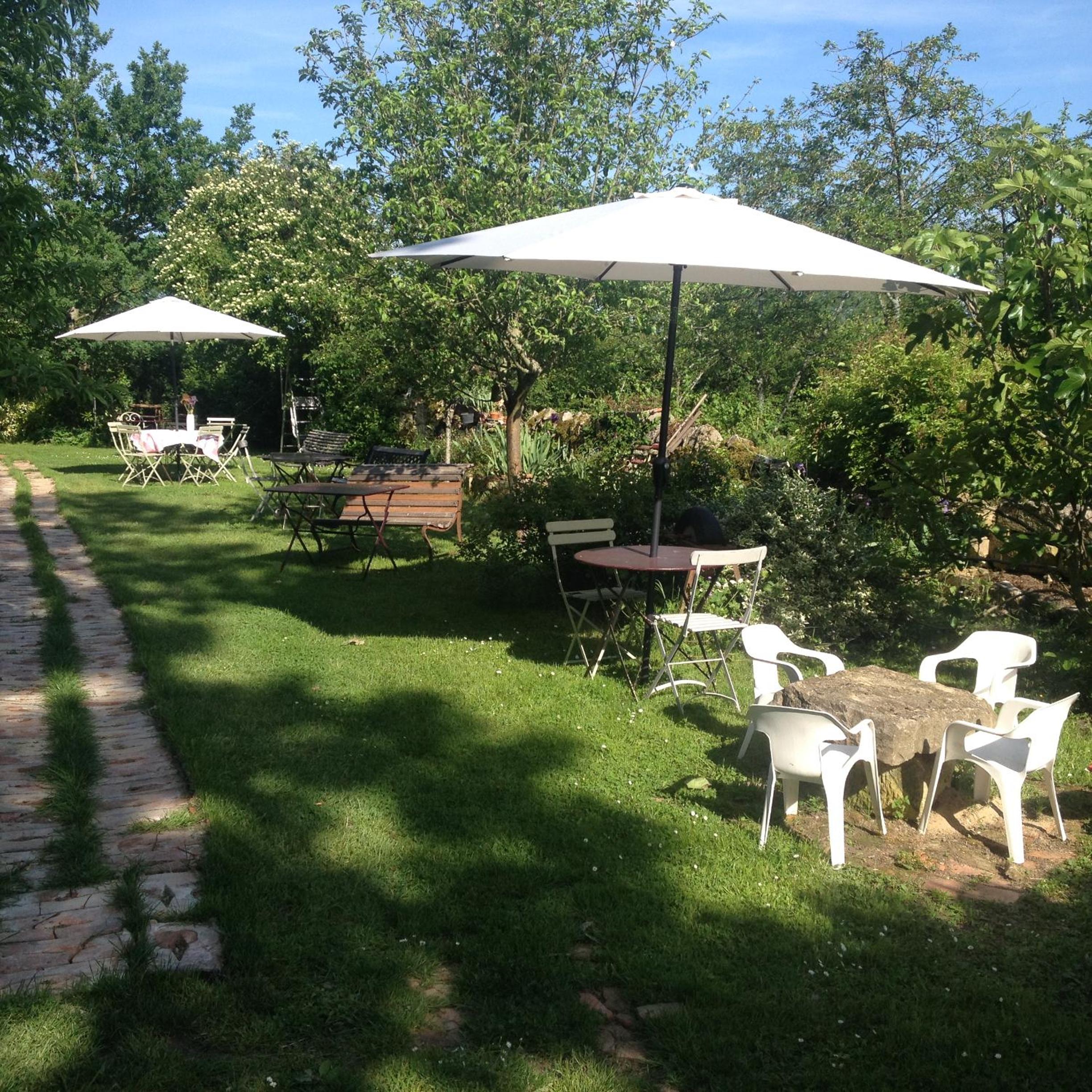 Photo 12