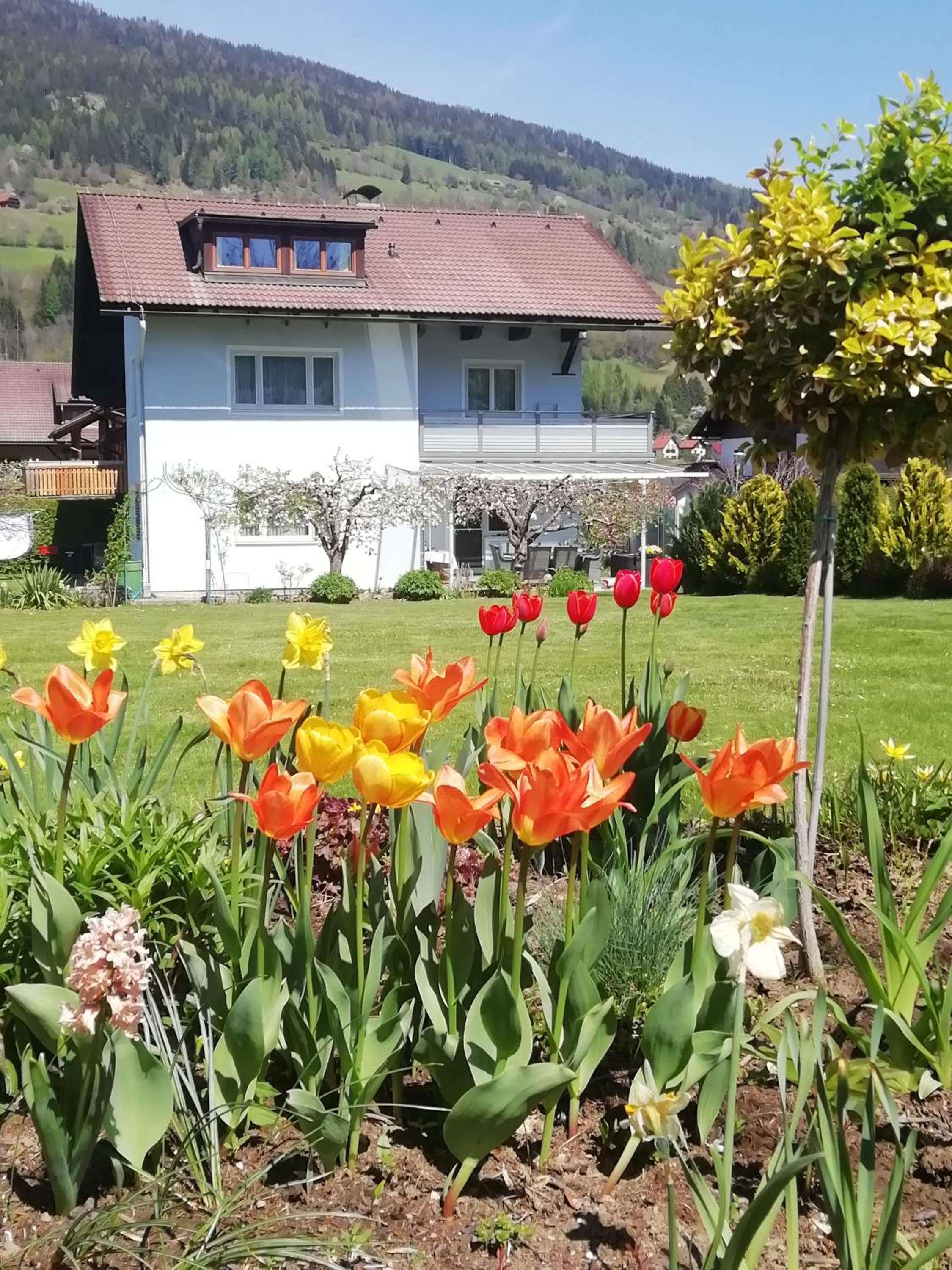 Pension Strauss