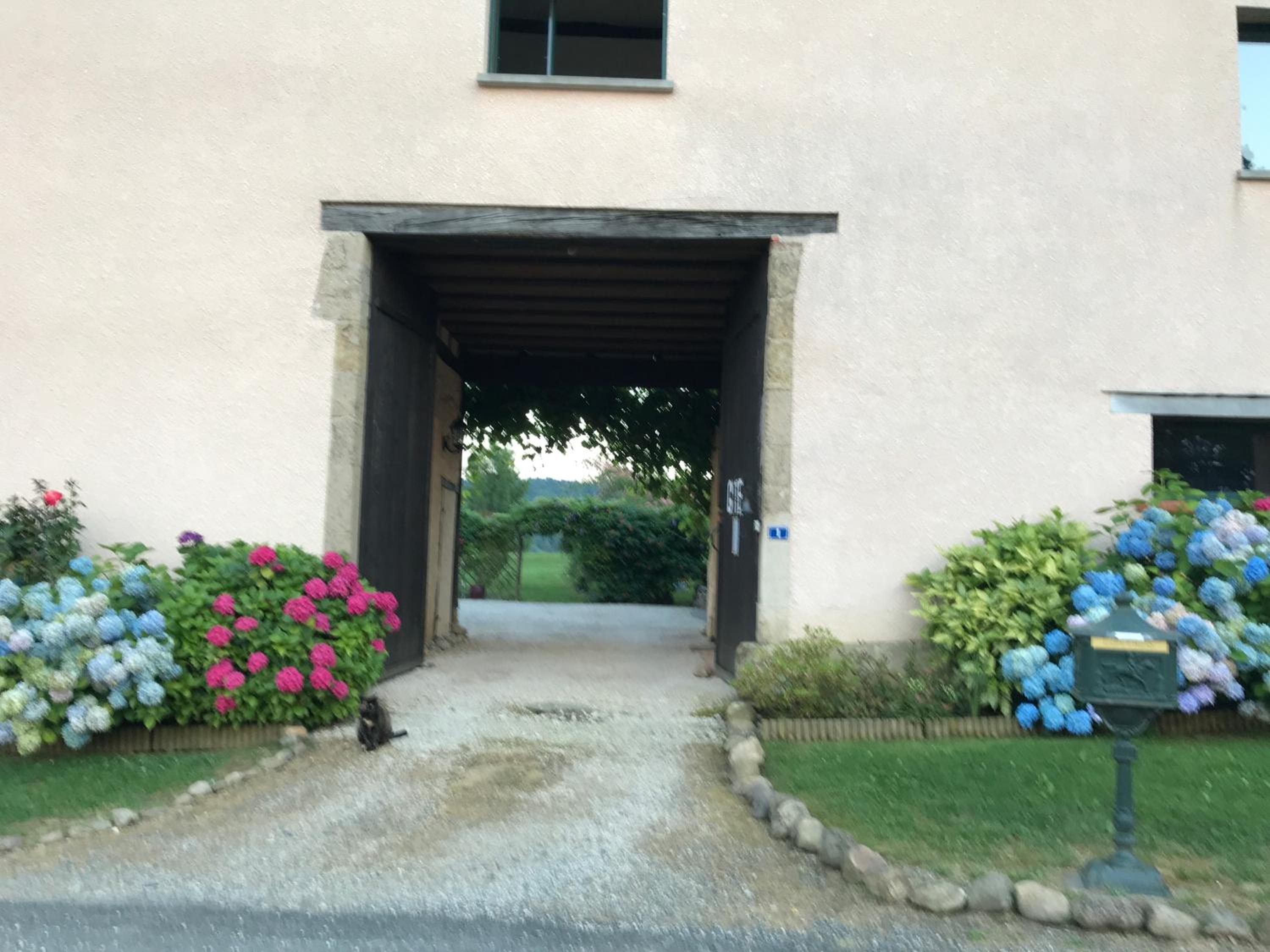Photo 6