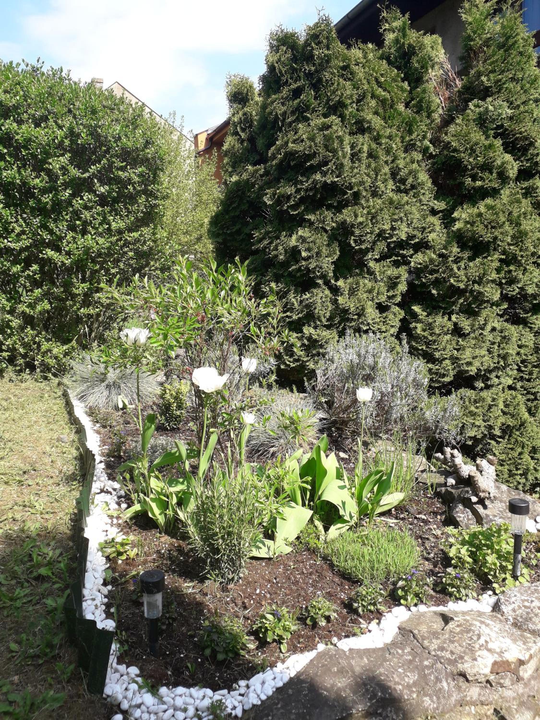 Photo 40