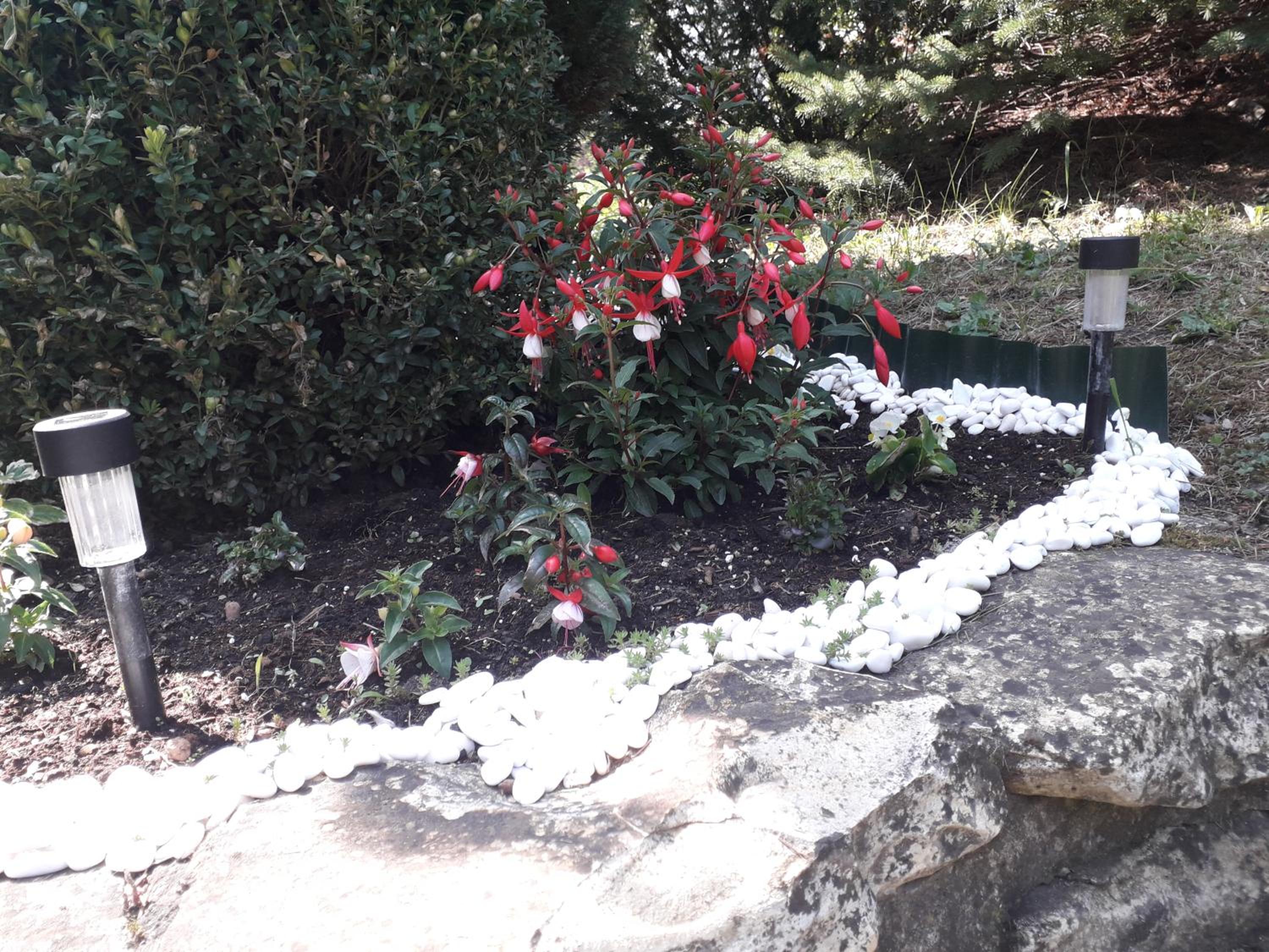 Photo 39