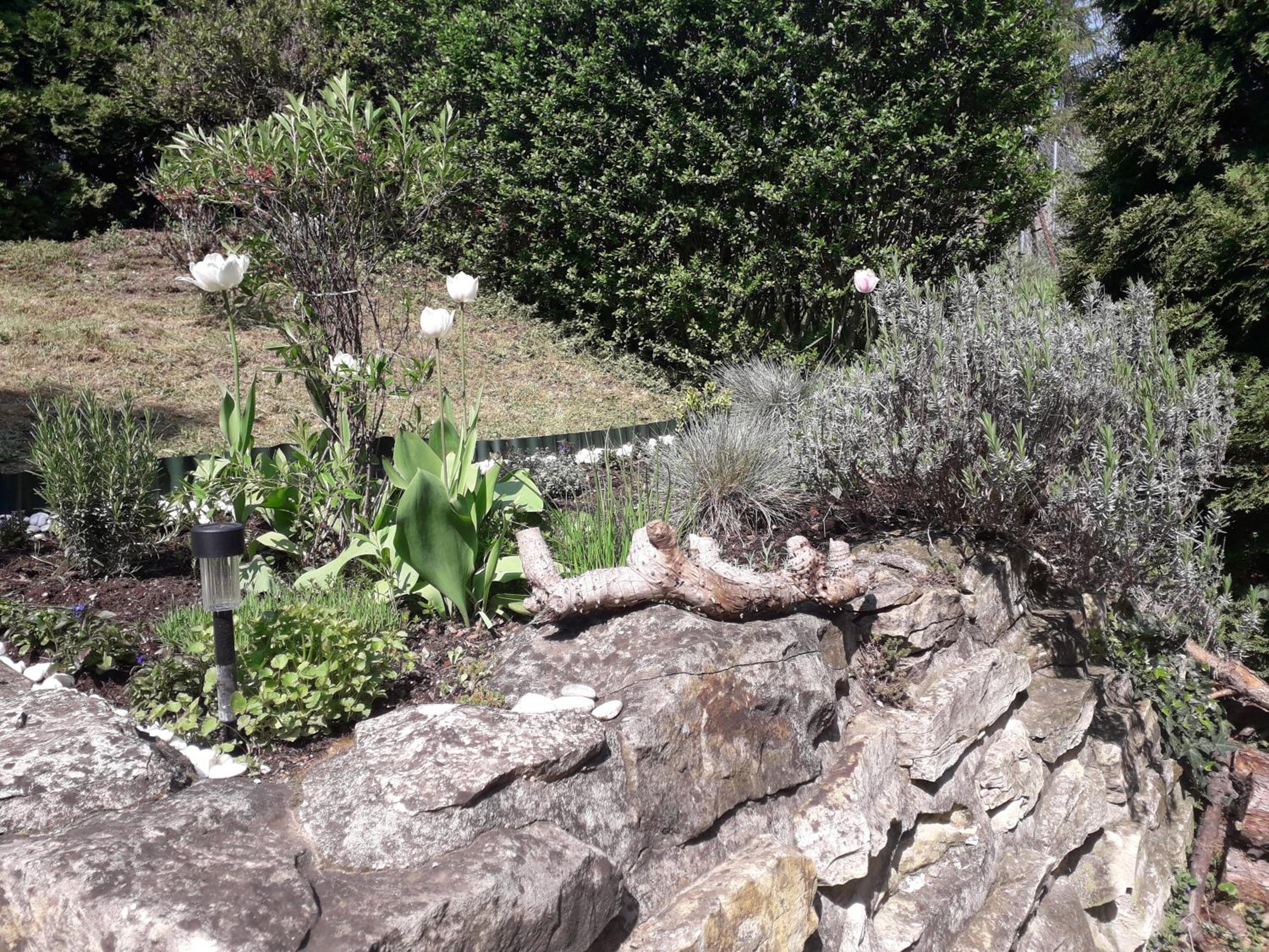 Photo 38