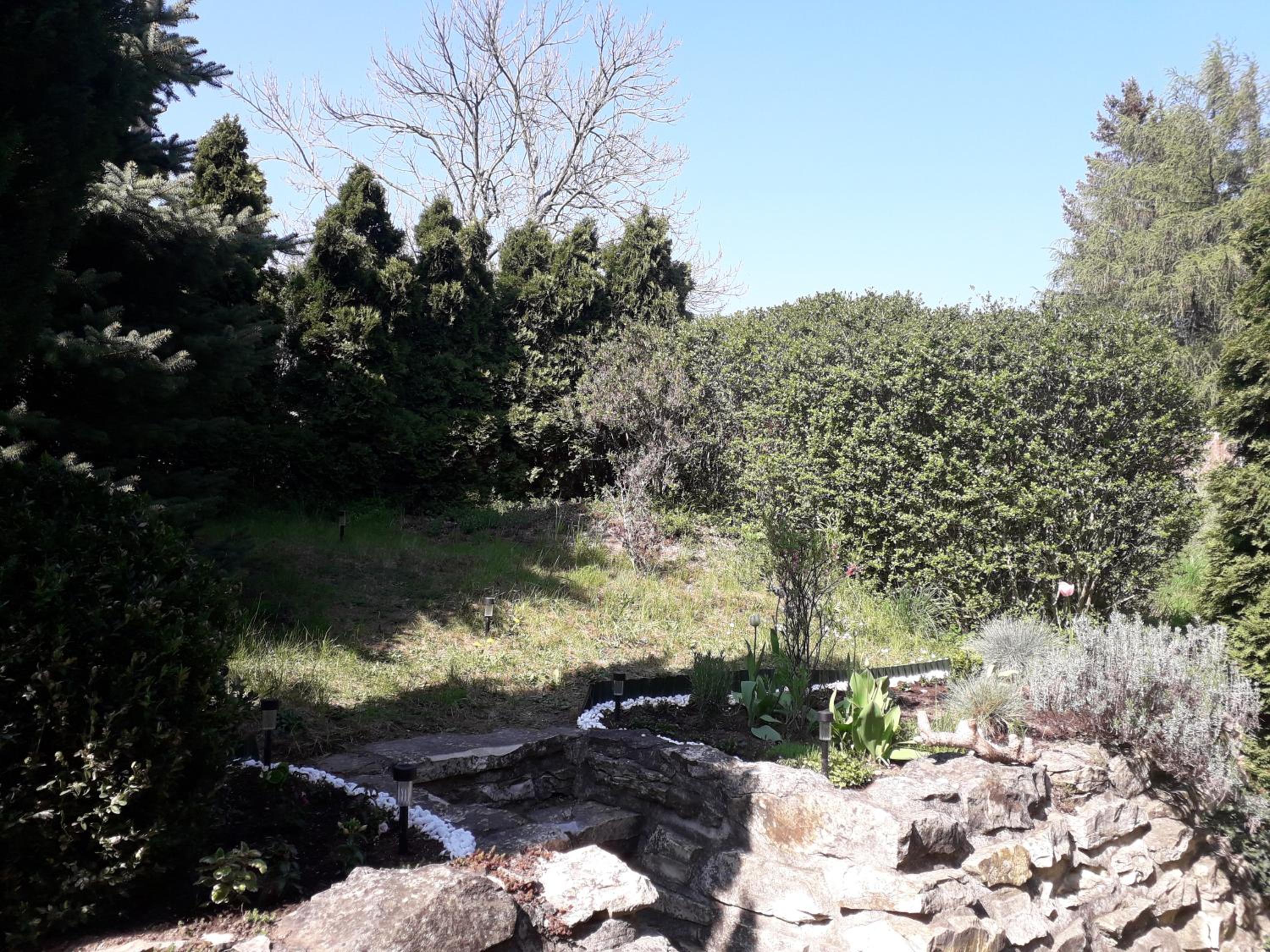 Photo 37