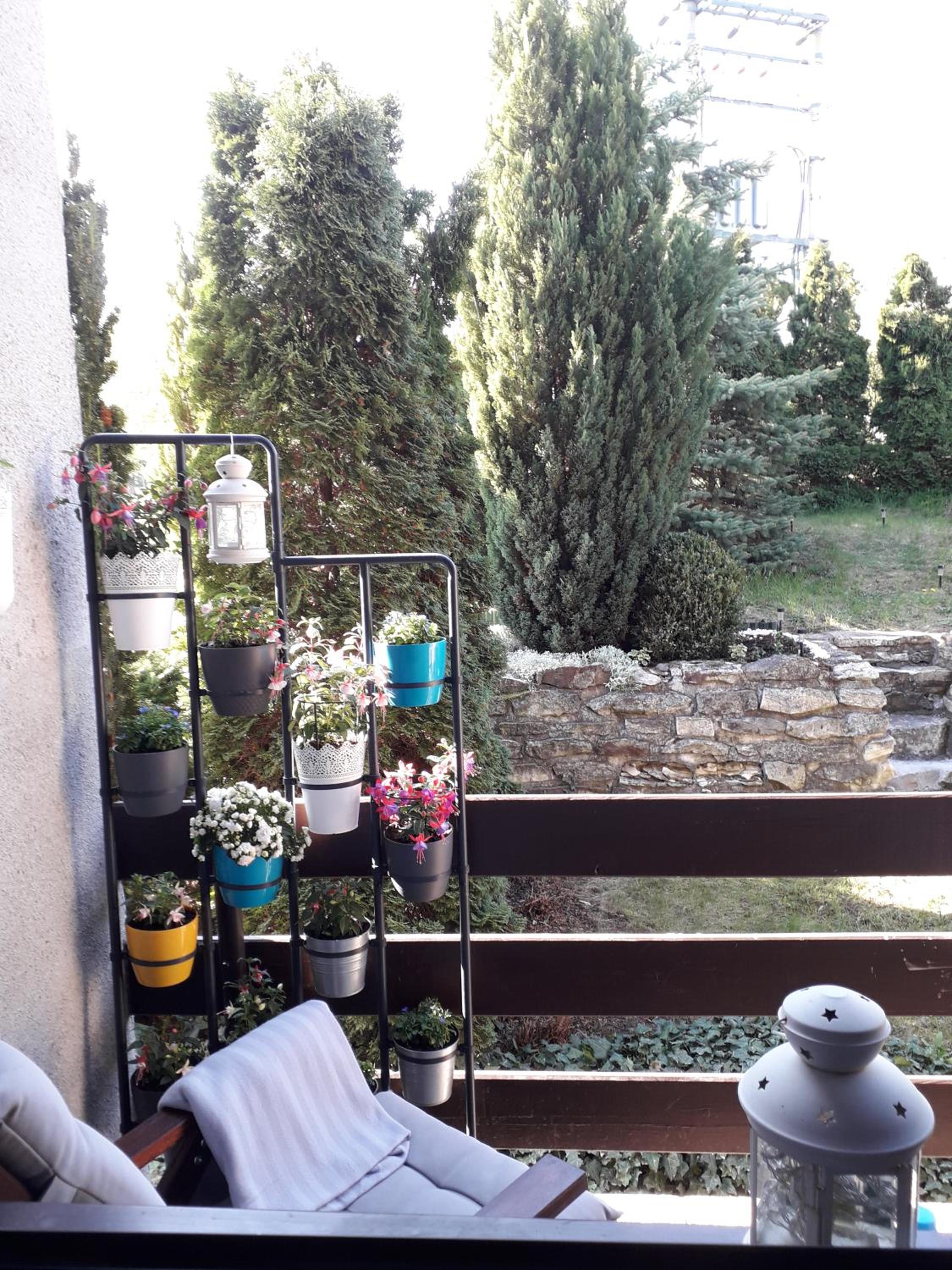 Photo 32
