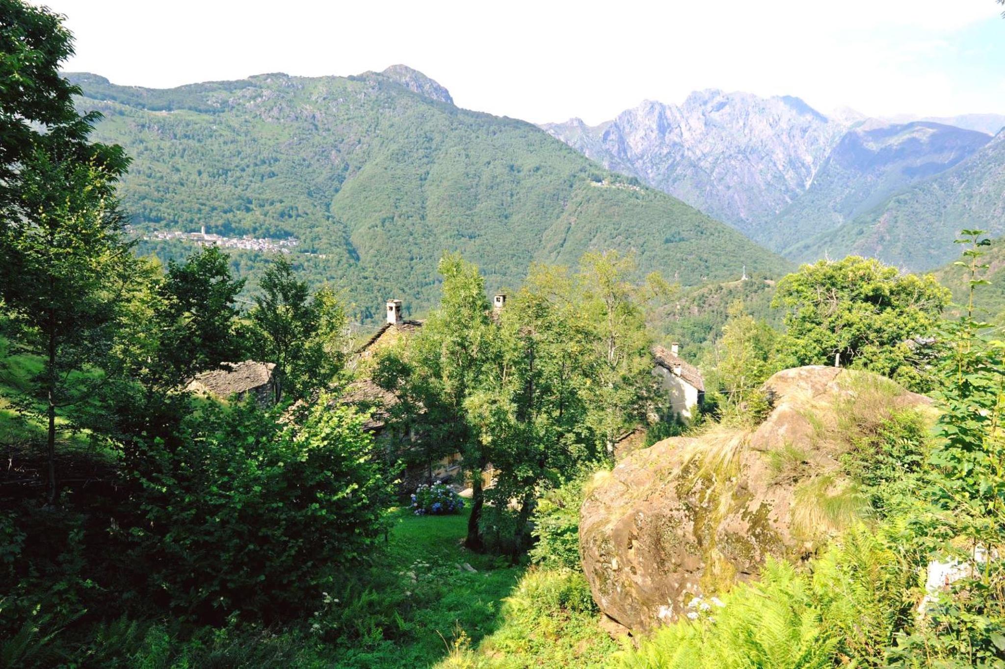Photo 29