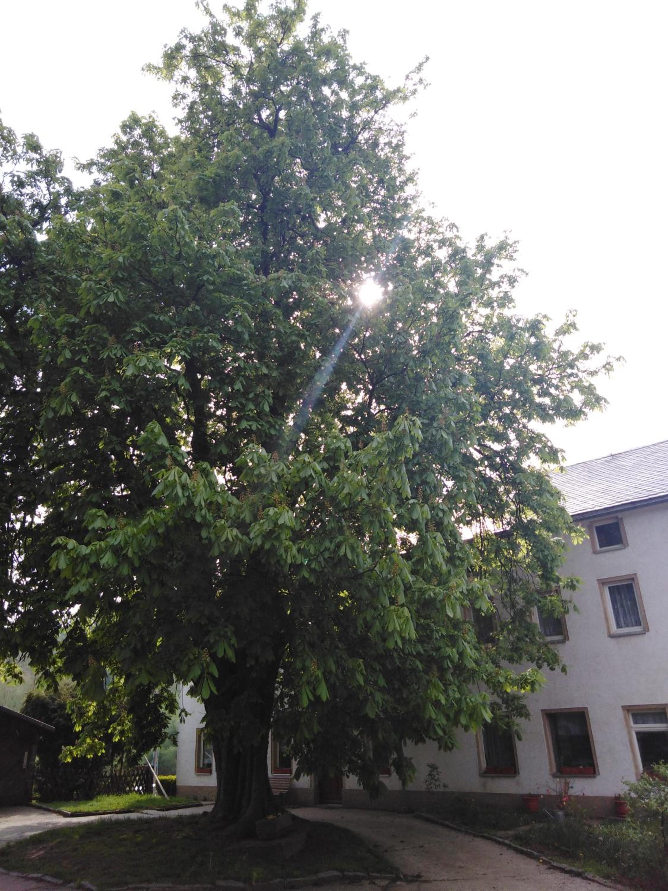 Photo 45