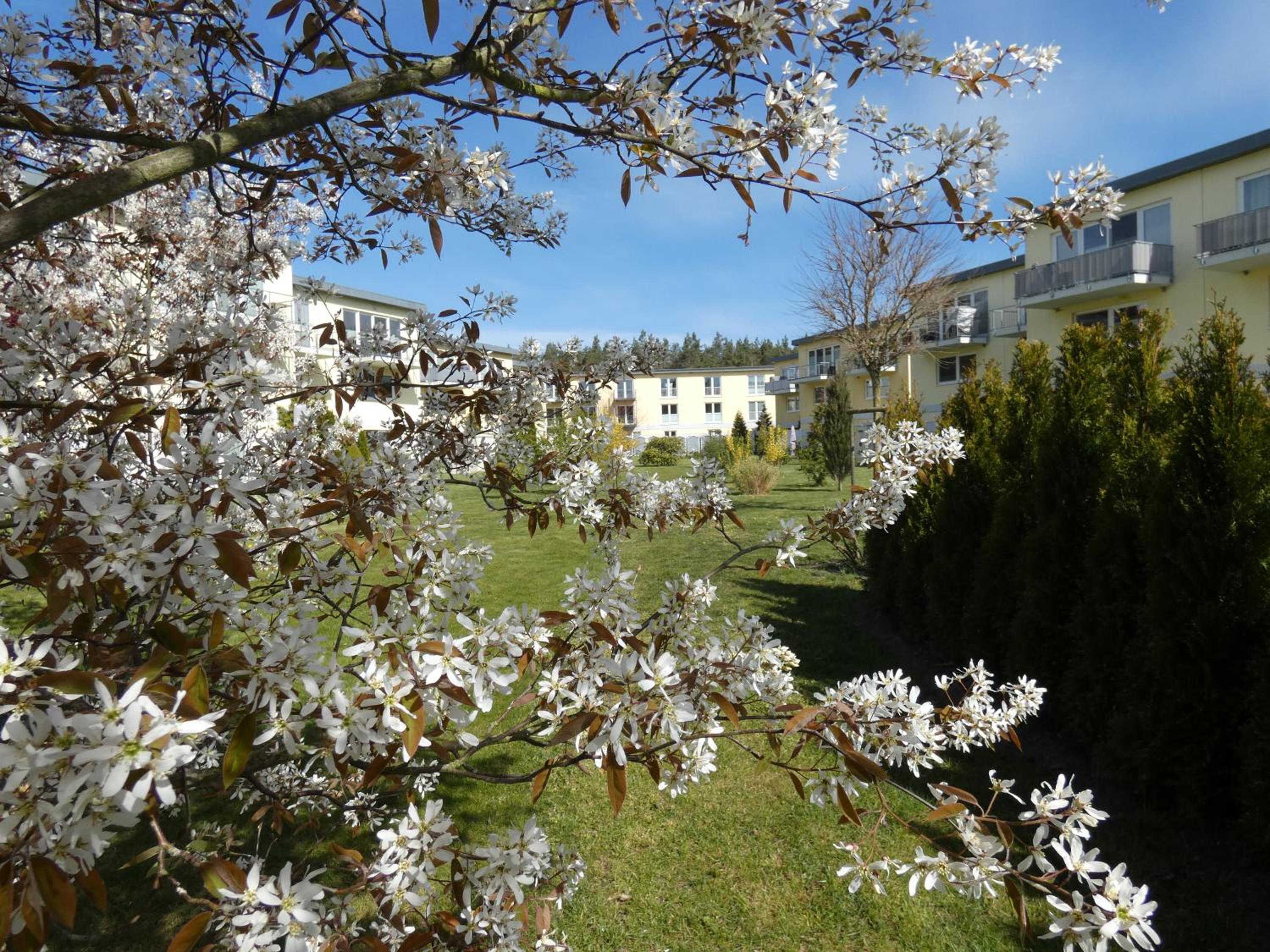 Küstenzimmer III