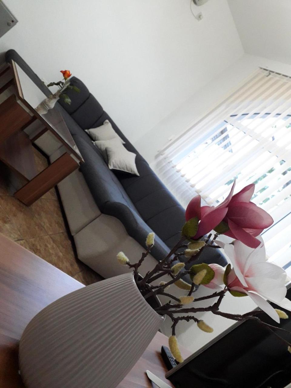 Apartman Samardzic view 5