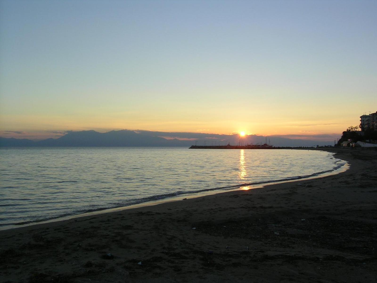 Photo 50