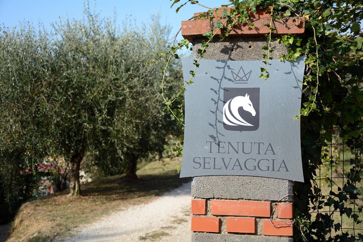 Tenuta Selvaggia