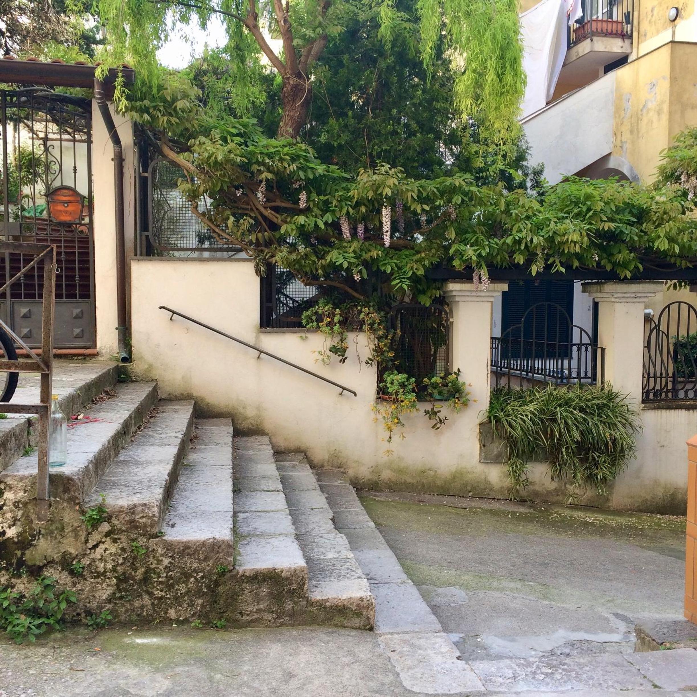La finestra sul cortile photo 5