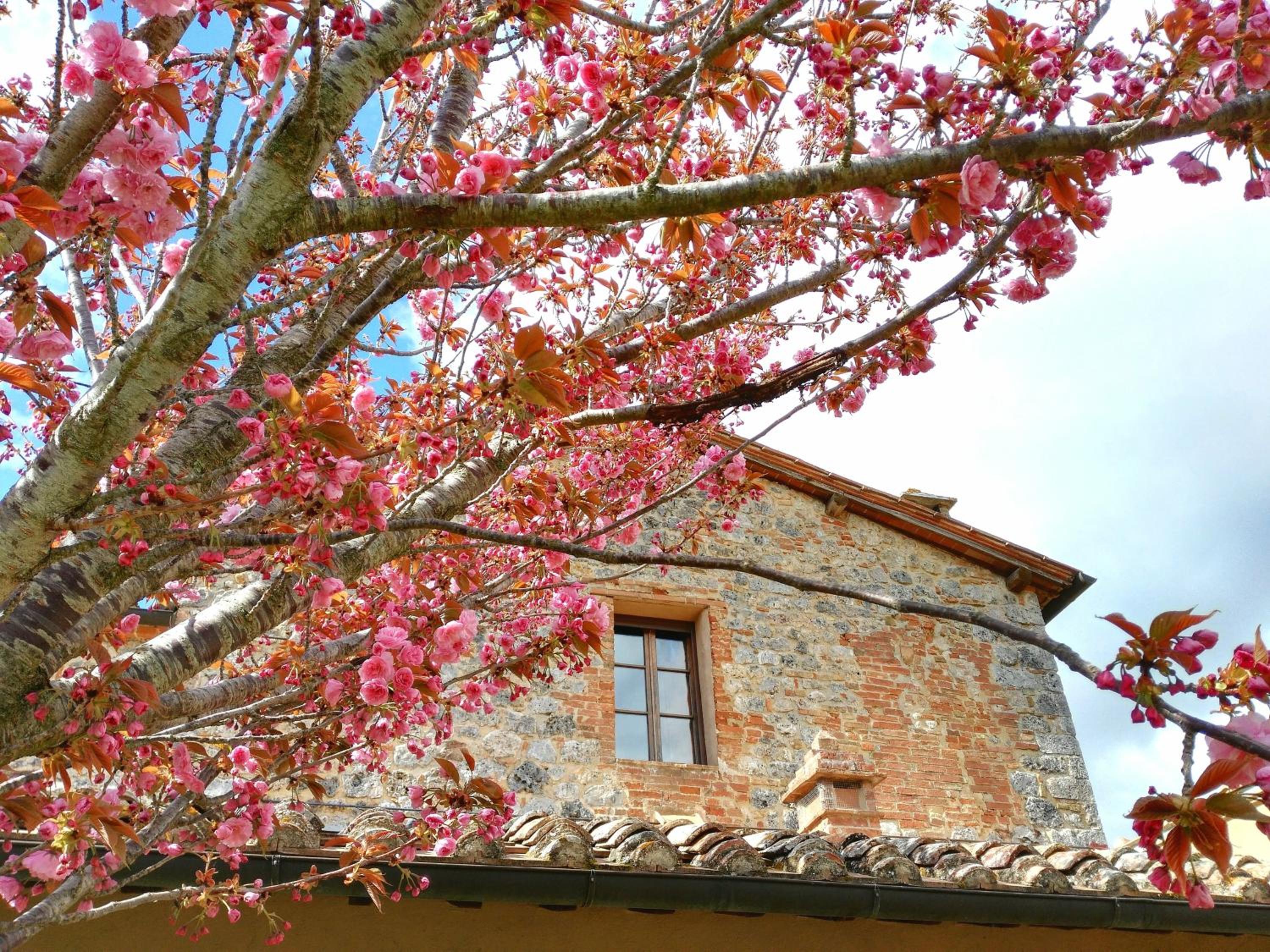 Borgo dé Brandi