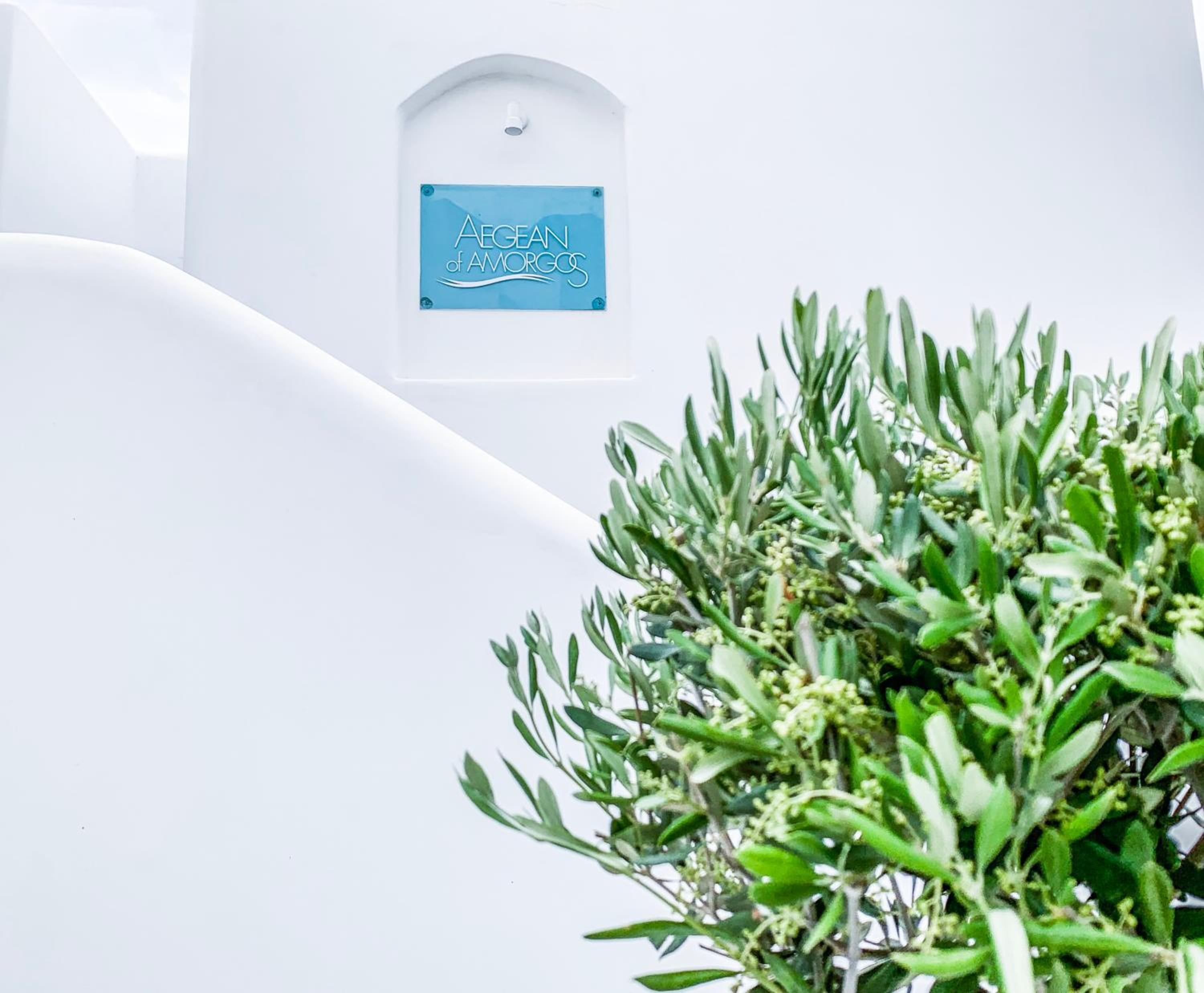 Hotel Aegean of Amorgos - Image 1