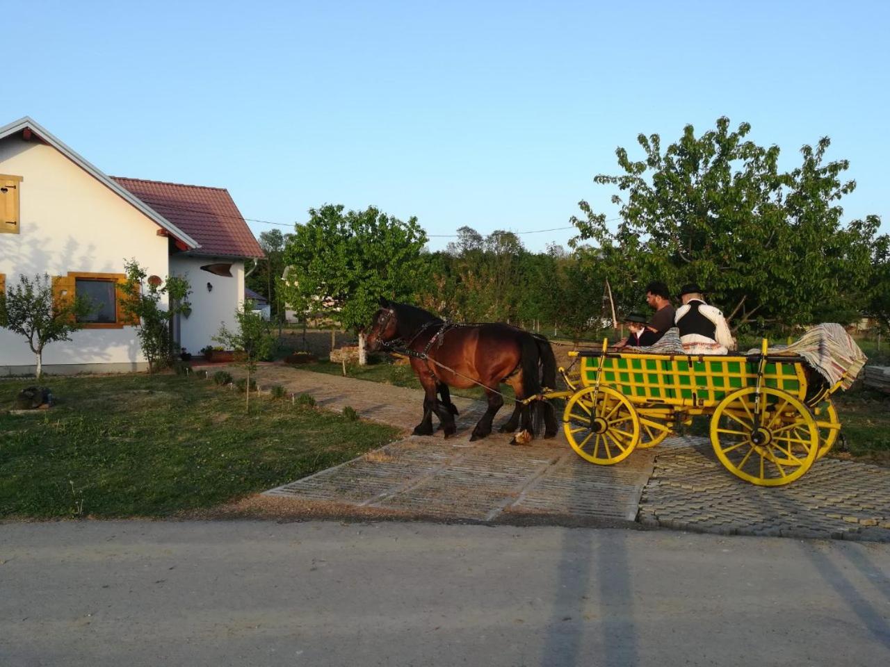 Photo 27