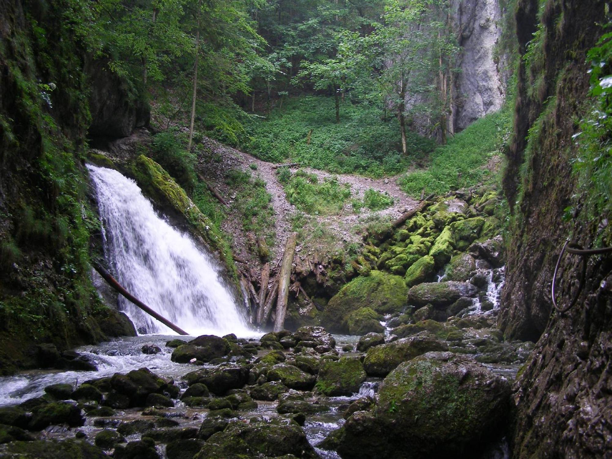 Popas Turistic Padis