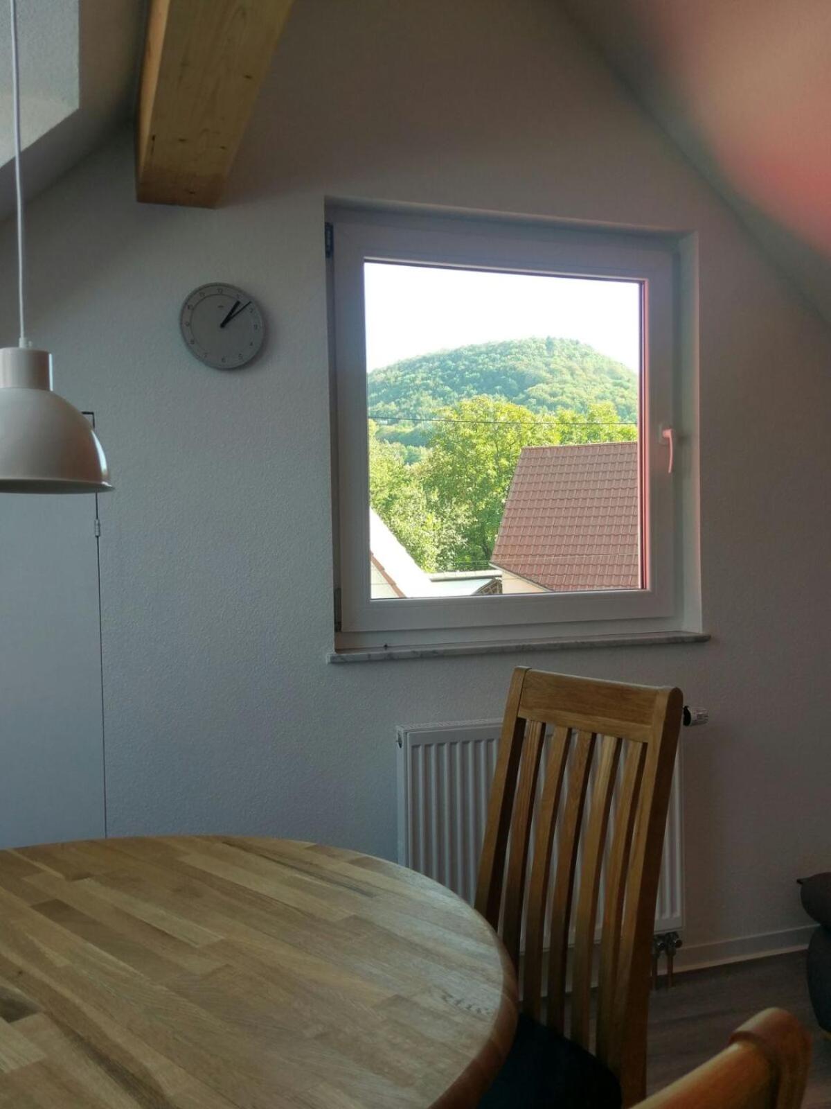 Gäste-Appartement-Kirsammer view 5