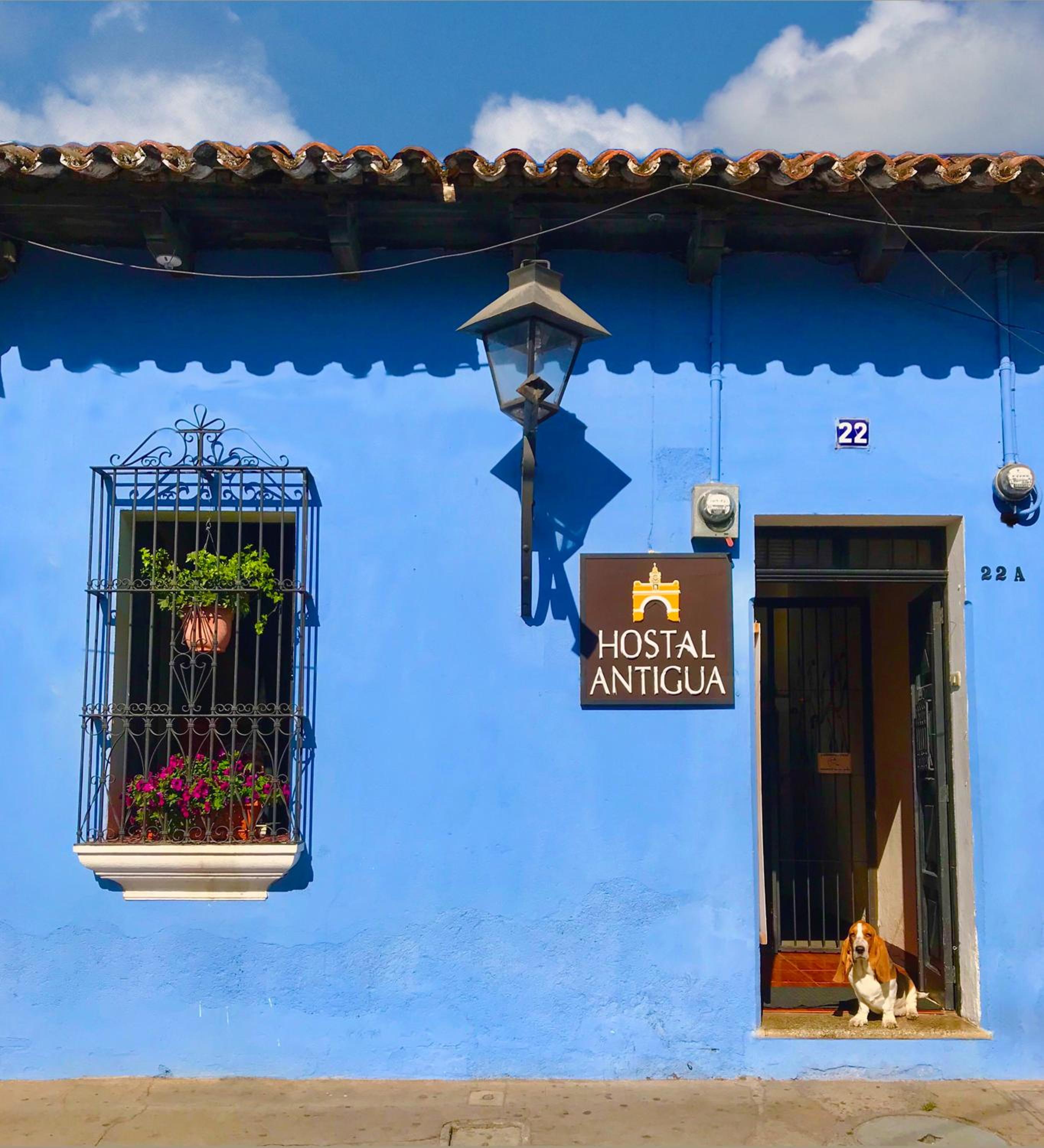 Hostal Antigua