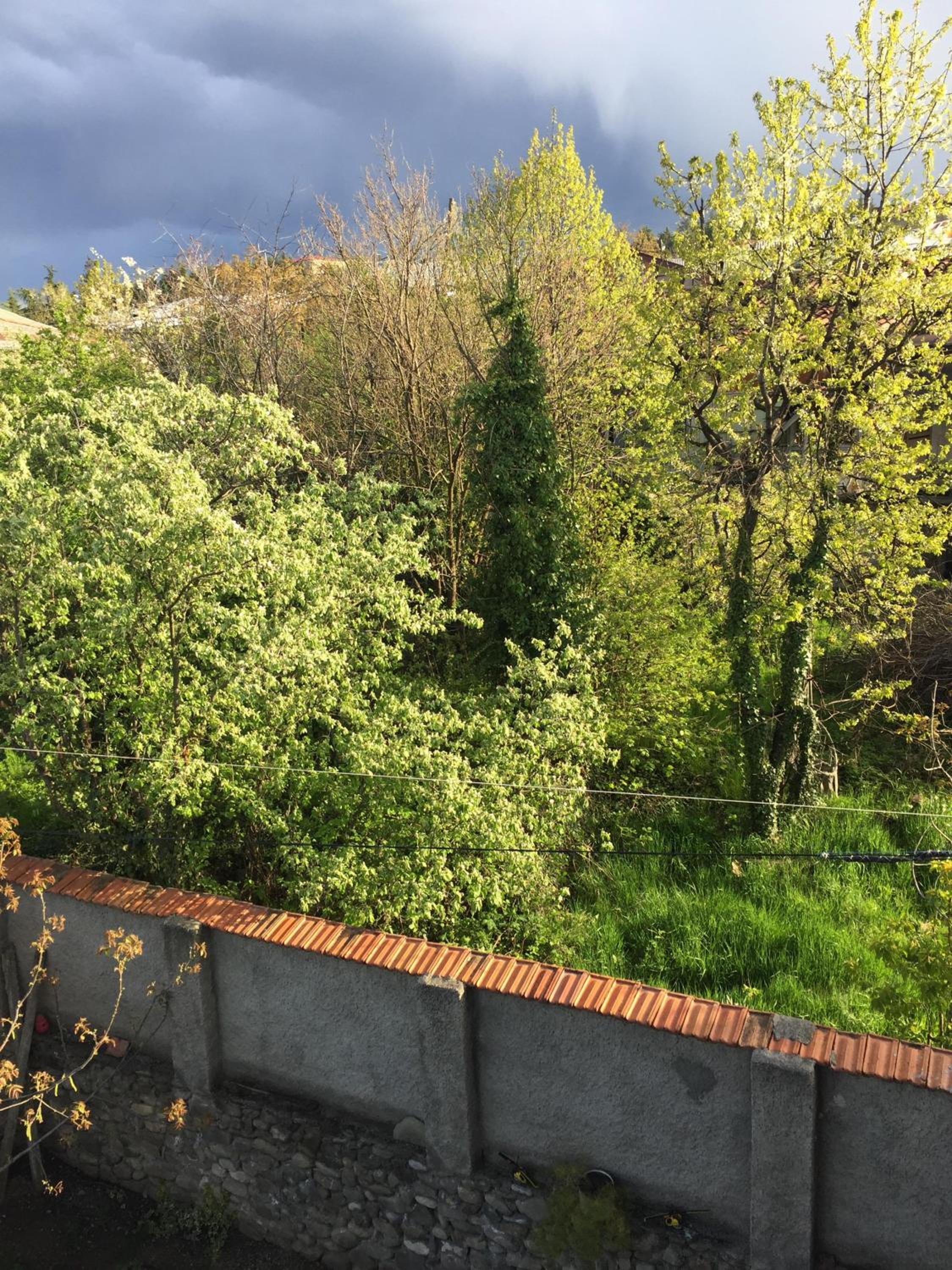 Photo 44