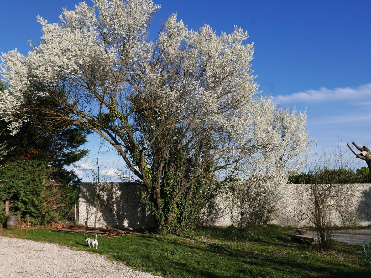 Le Domaine de Patris, photo 13