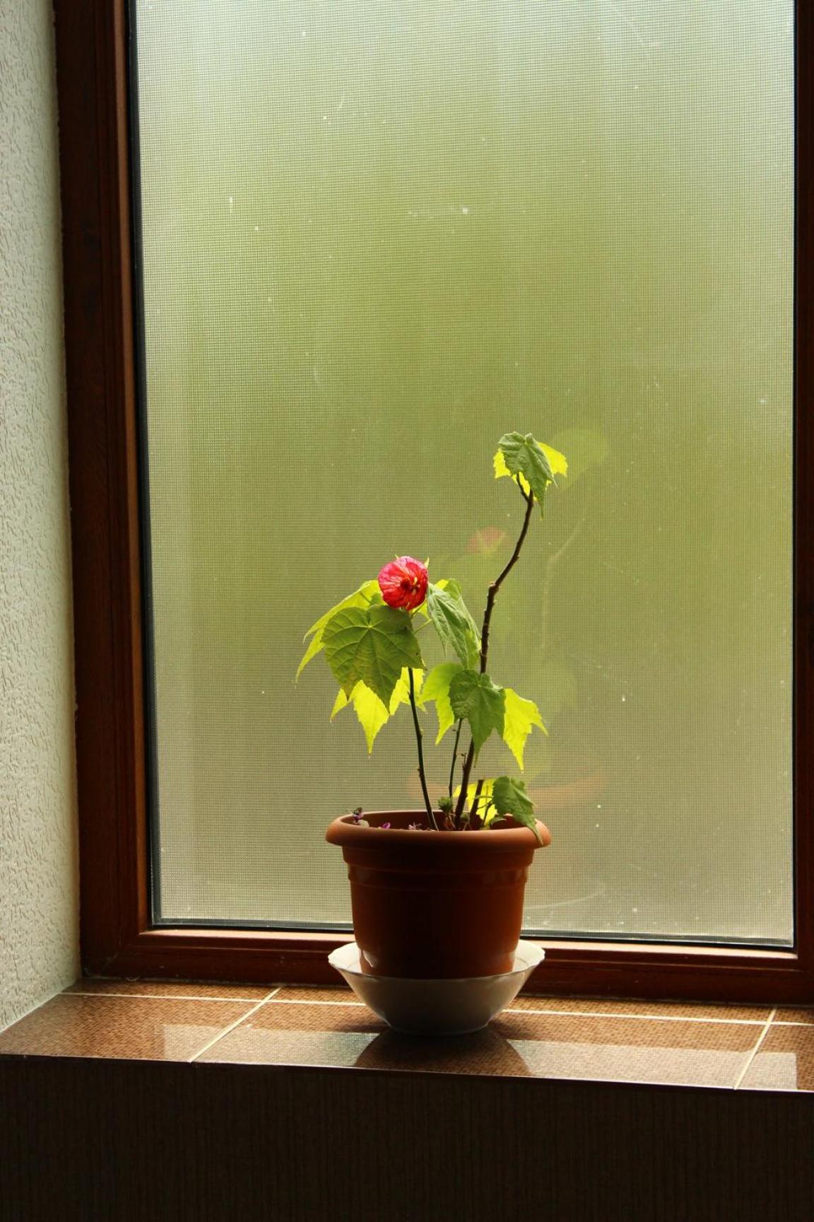 Photo 48