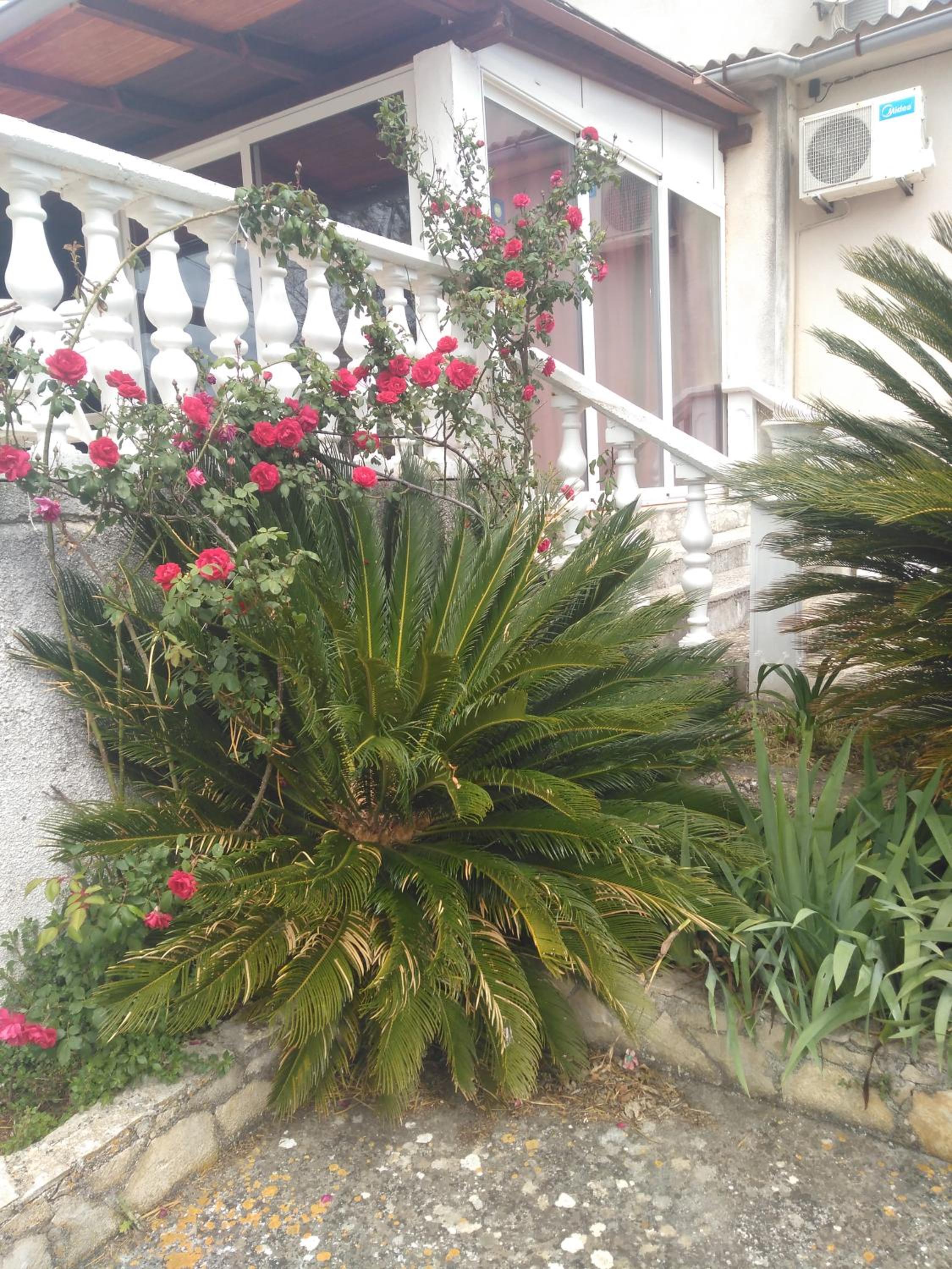 Photo 38