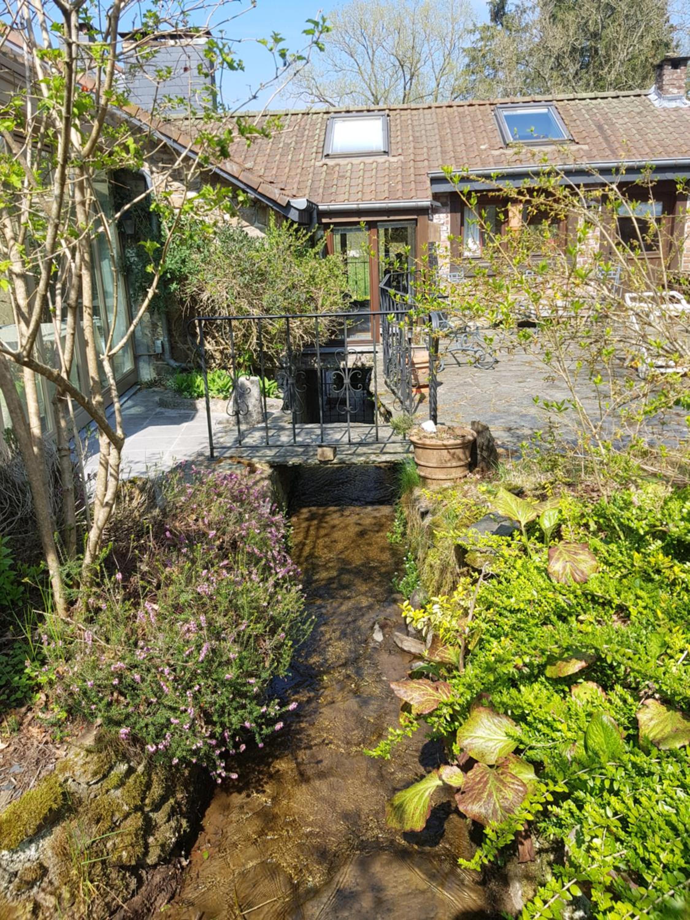 Photo 41