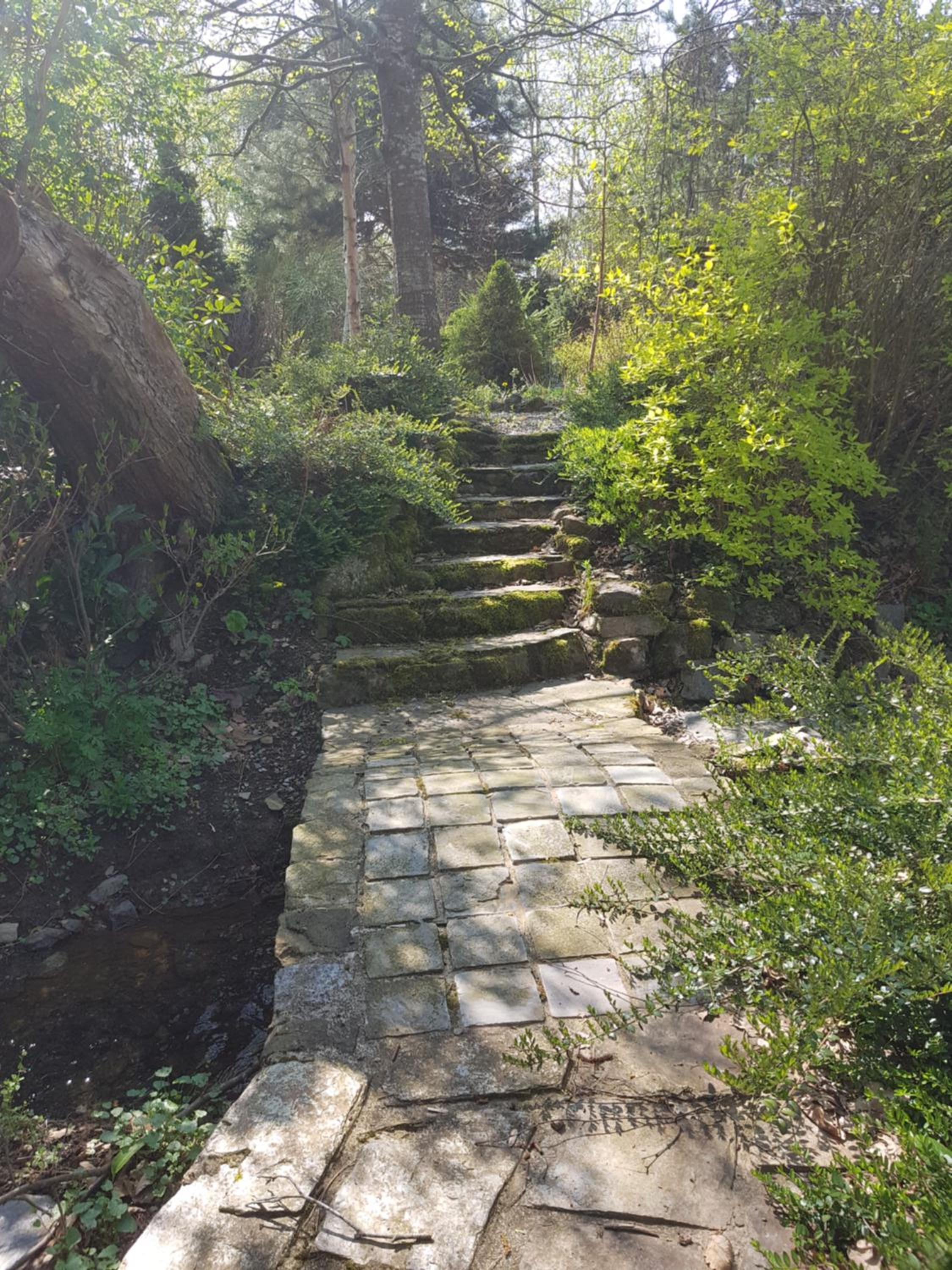 Photo 40