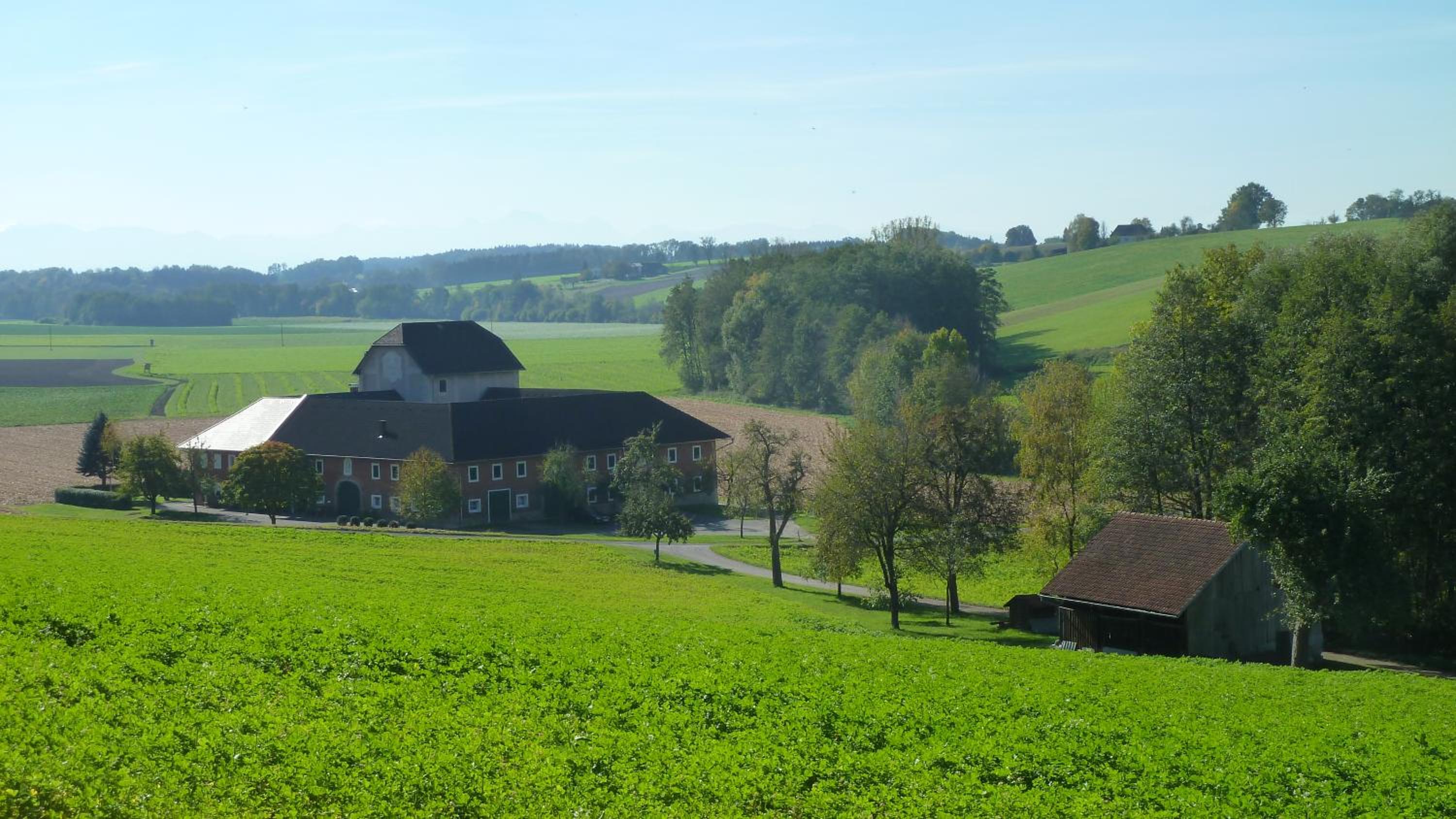 Ipfmühle Studio 1 (Hafer)