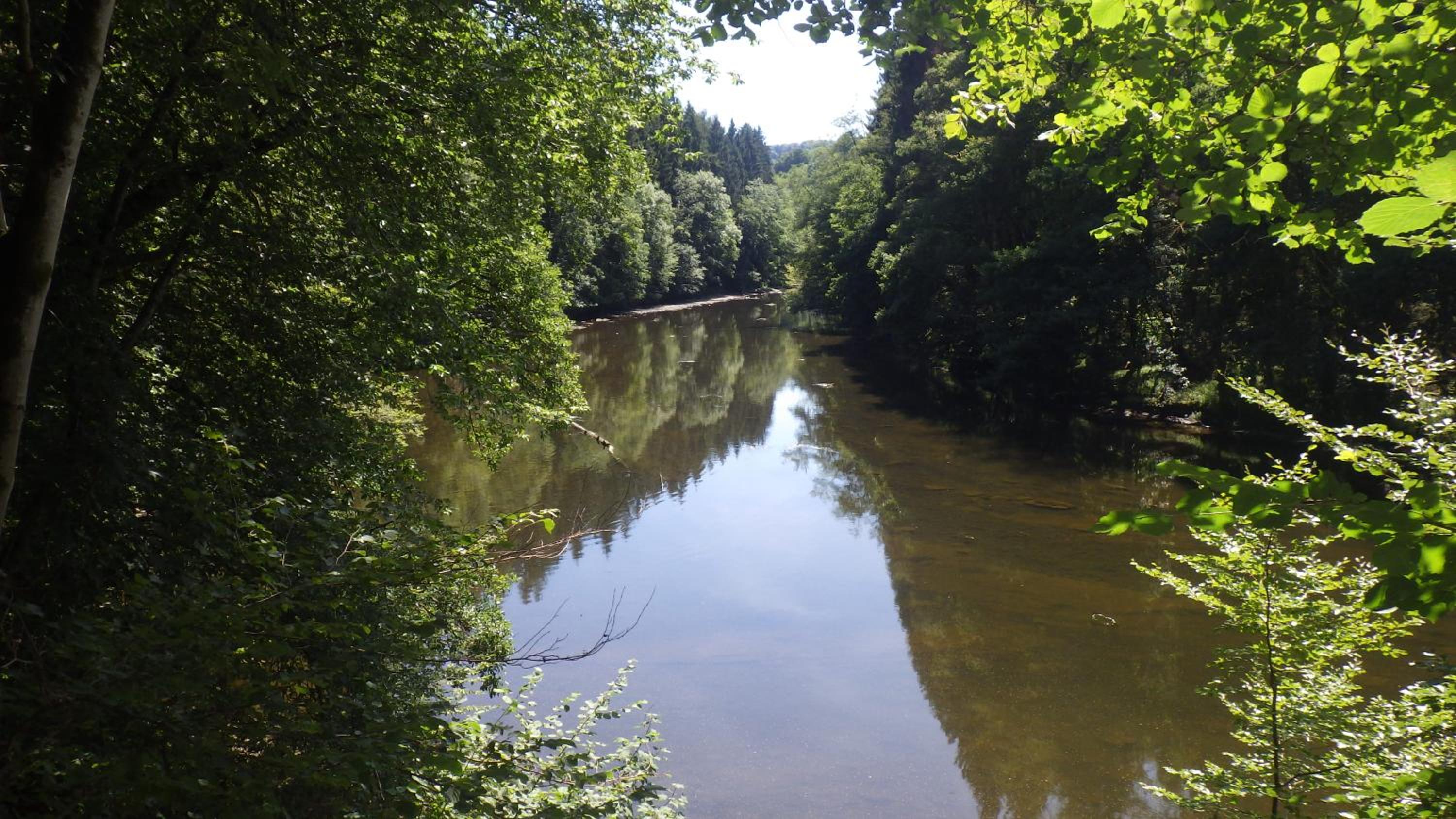 L'Eaubergerine