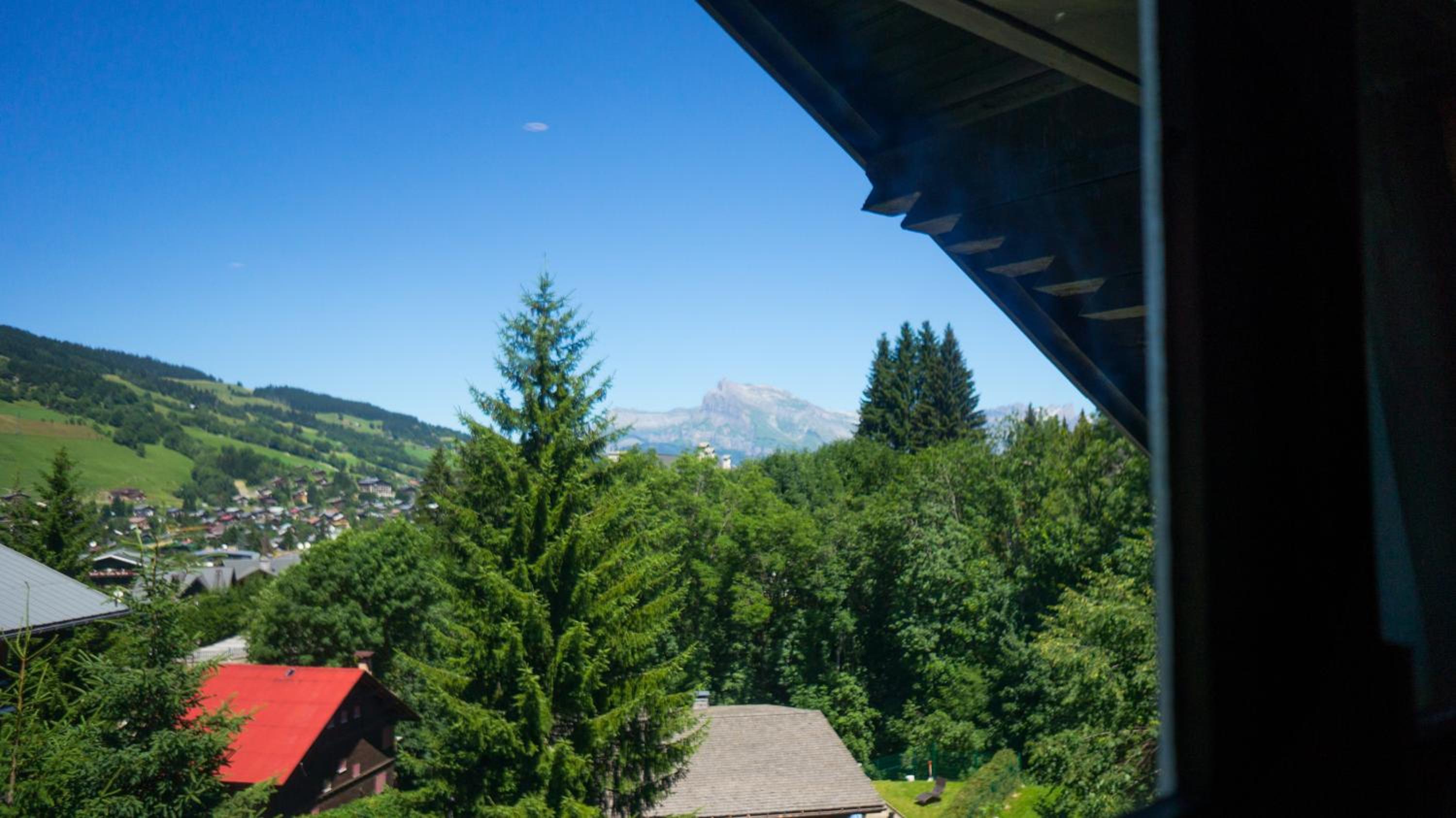 Megeve Vacations - Les Clochettes - Property Image 7