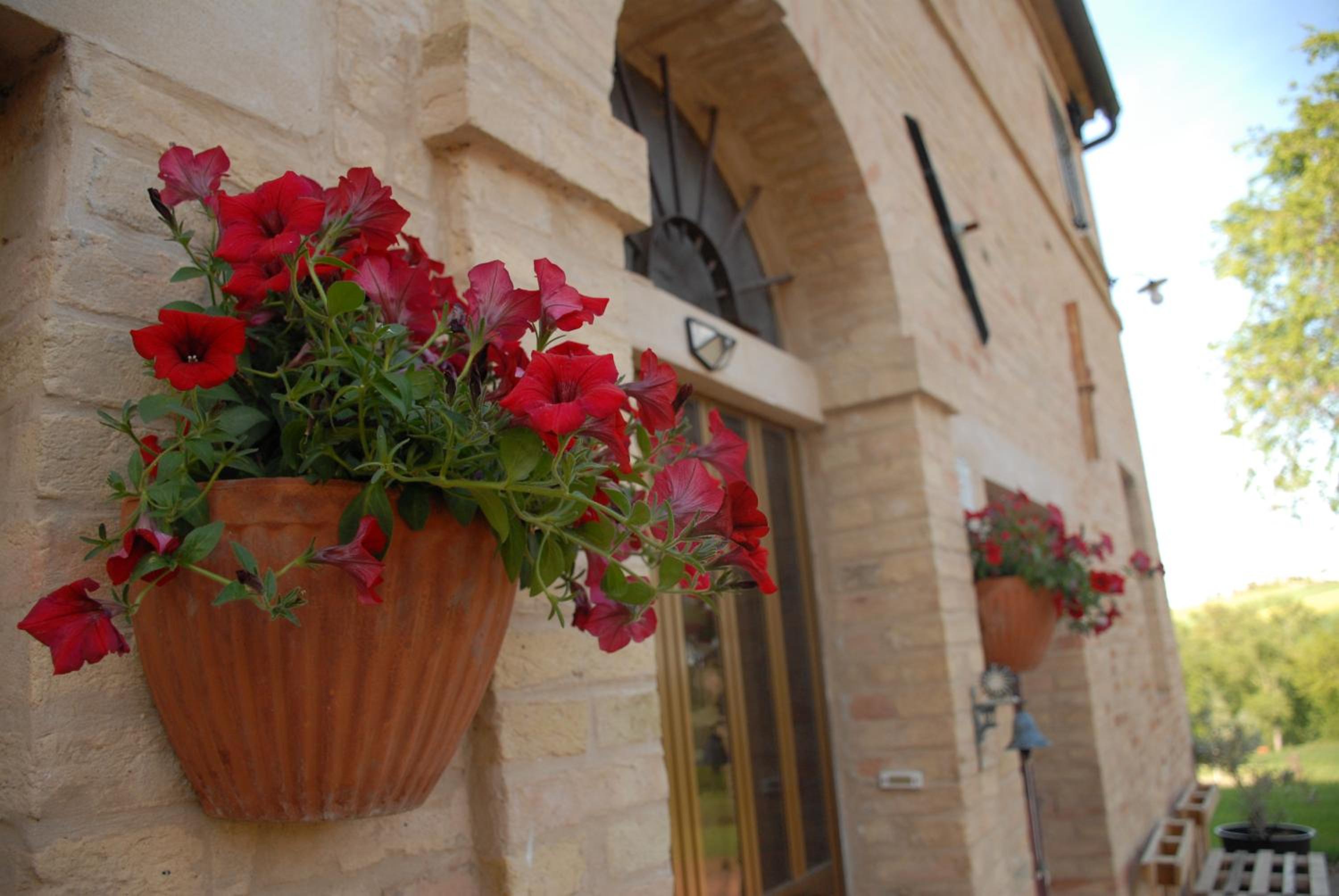 Fattoria Nonno Neno B&B view 3