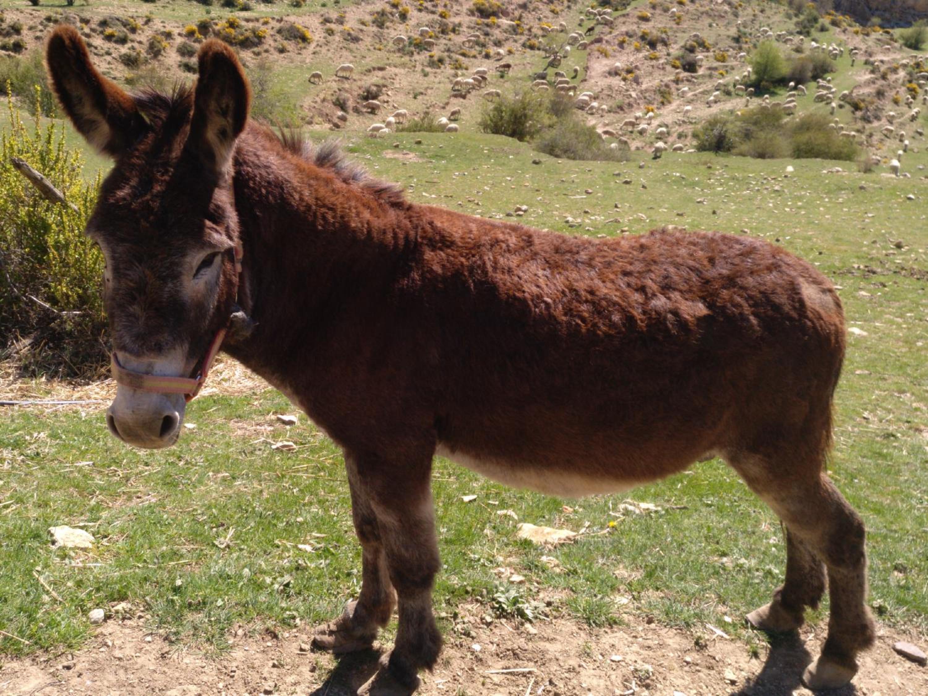 Casa Rural Chulilla photo 3