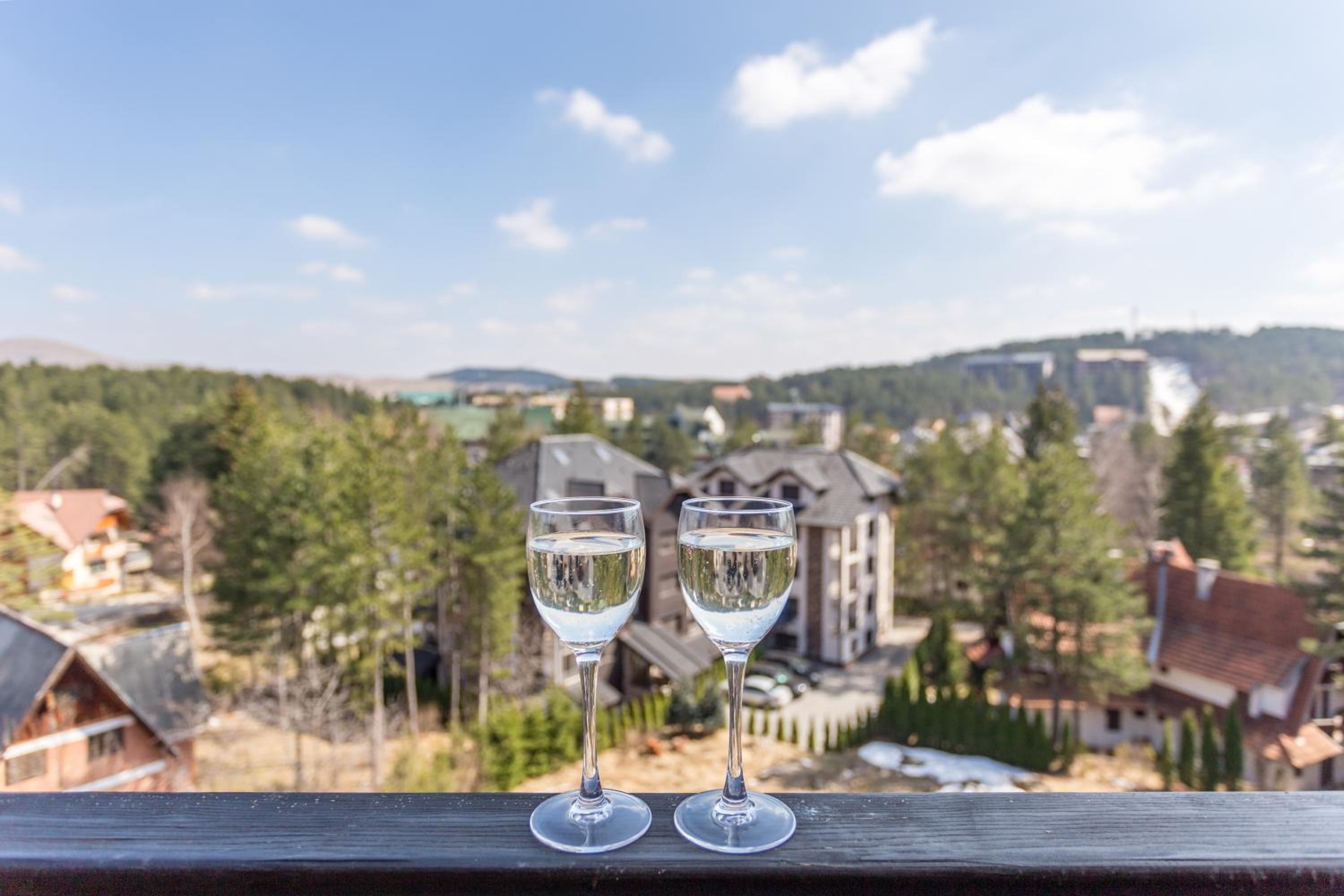 Delights Apartment Zlatibor view 2