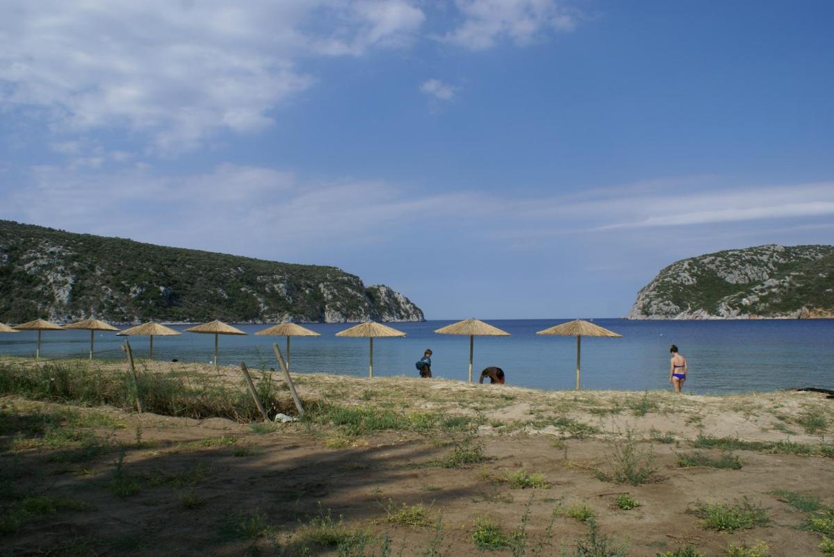 Photo 10