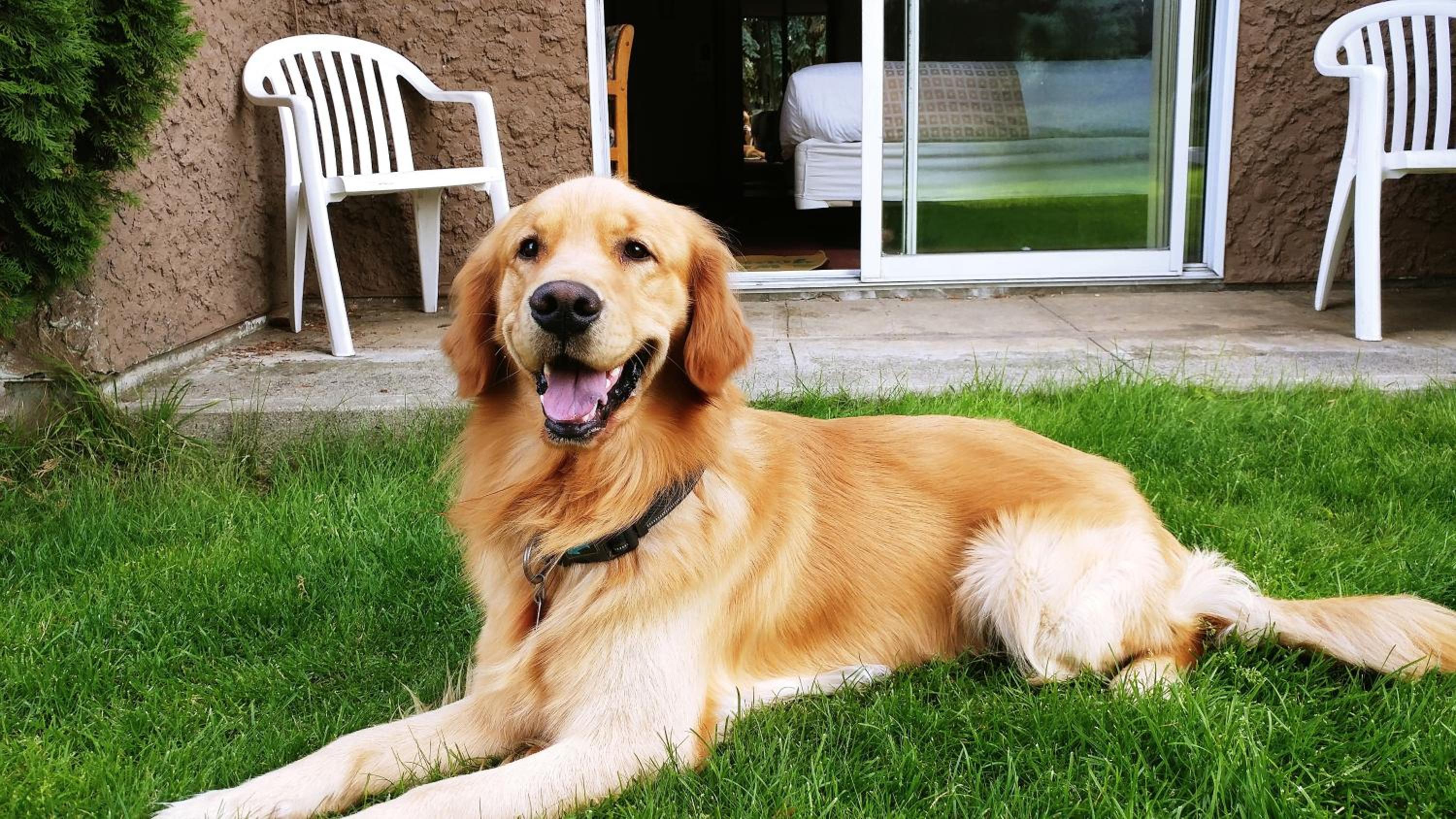 Vernon Vacations - Divya Sutra Plaza and Conference Centre, Vernon, BC - Property Image 77