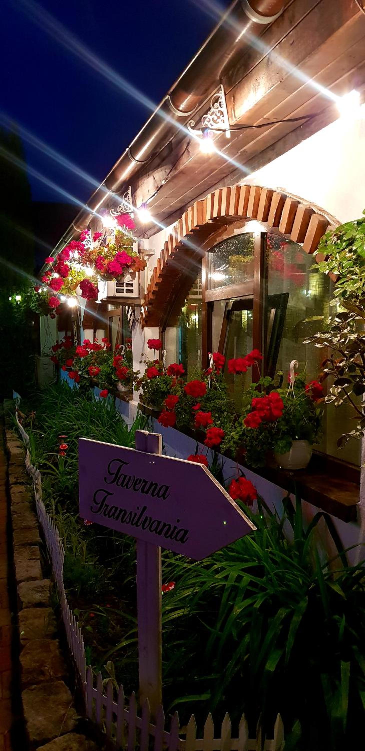 Hotel Elisabeta