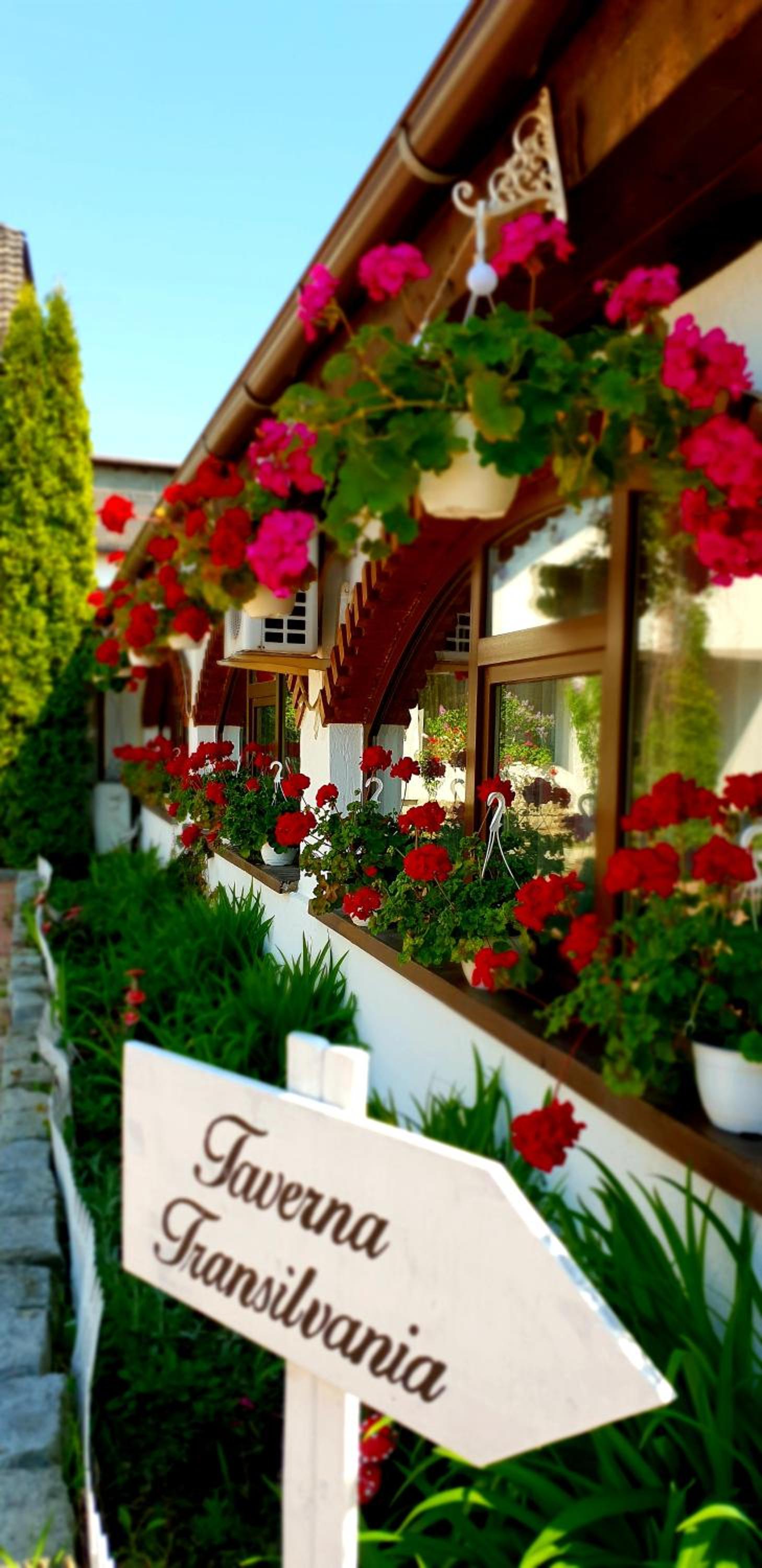 Hotel Elisabeta
