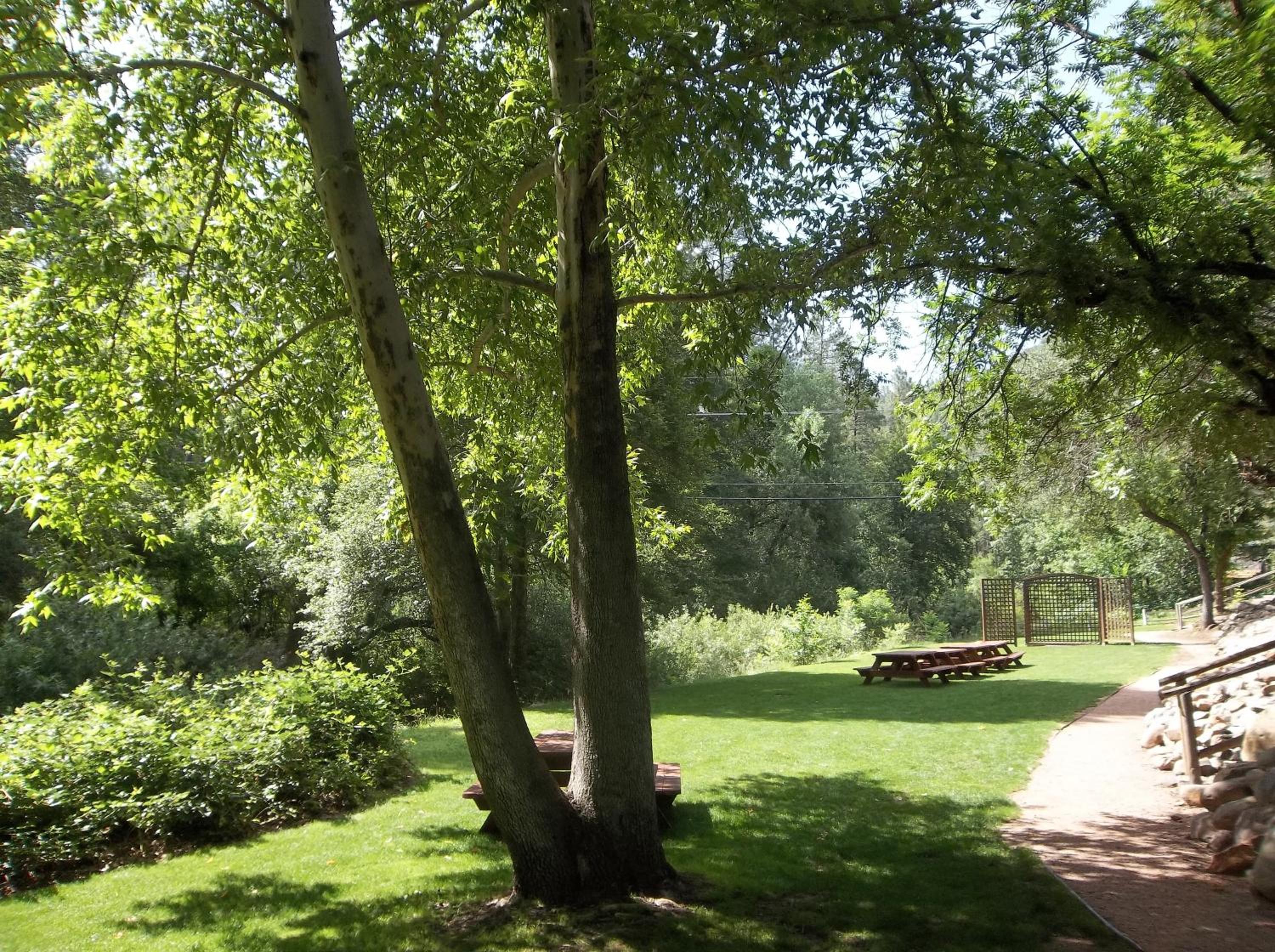 Payson Vacations - Kohl's Ranch Lodge - Property Image 38