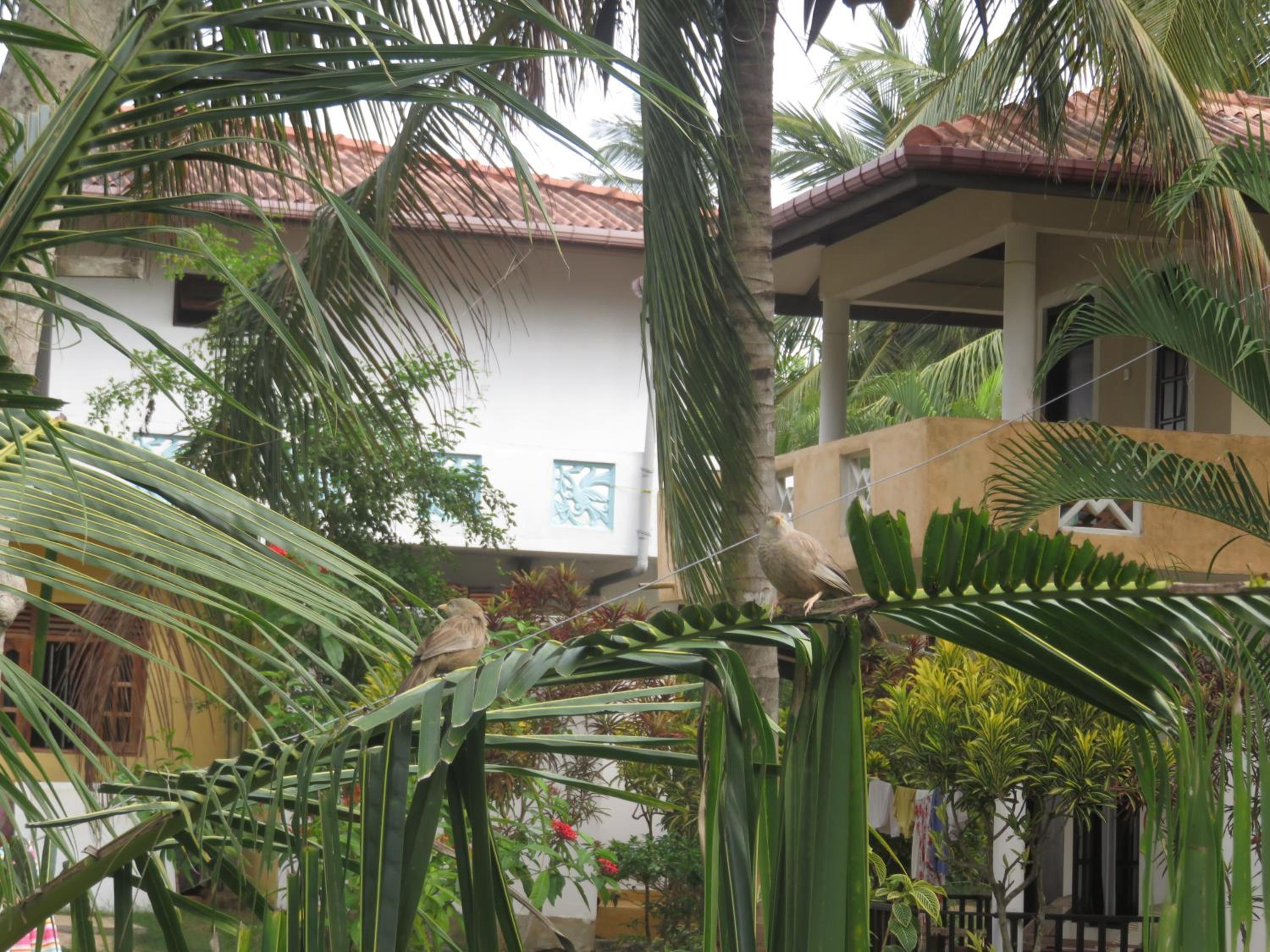 Beach Lagoon Guesthouse